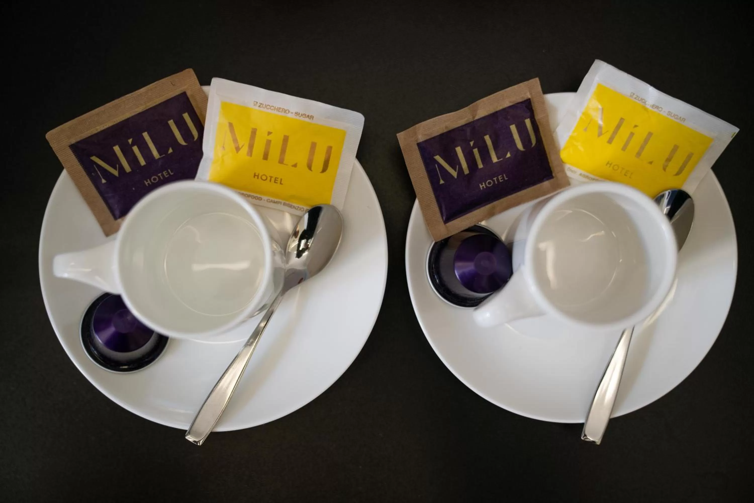Hotel Milu Florence