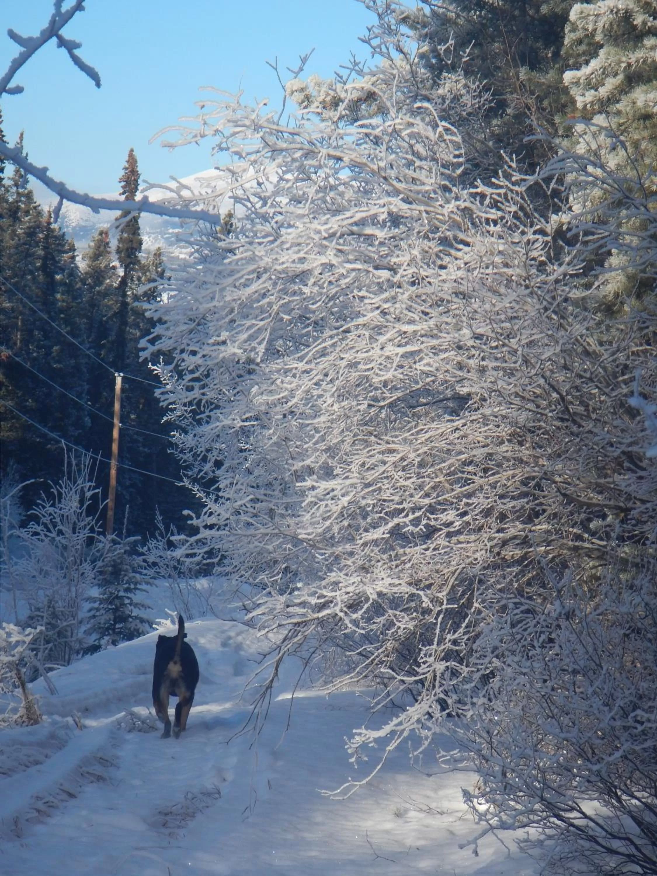 Area and facilities in Hidden Valley Bed and Breakfast