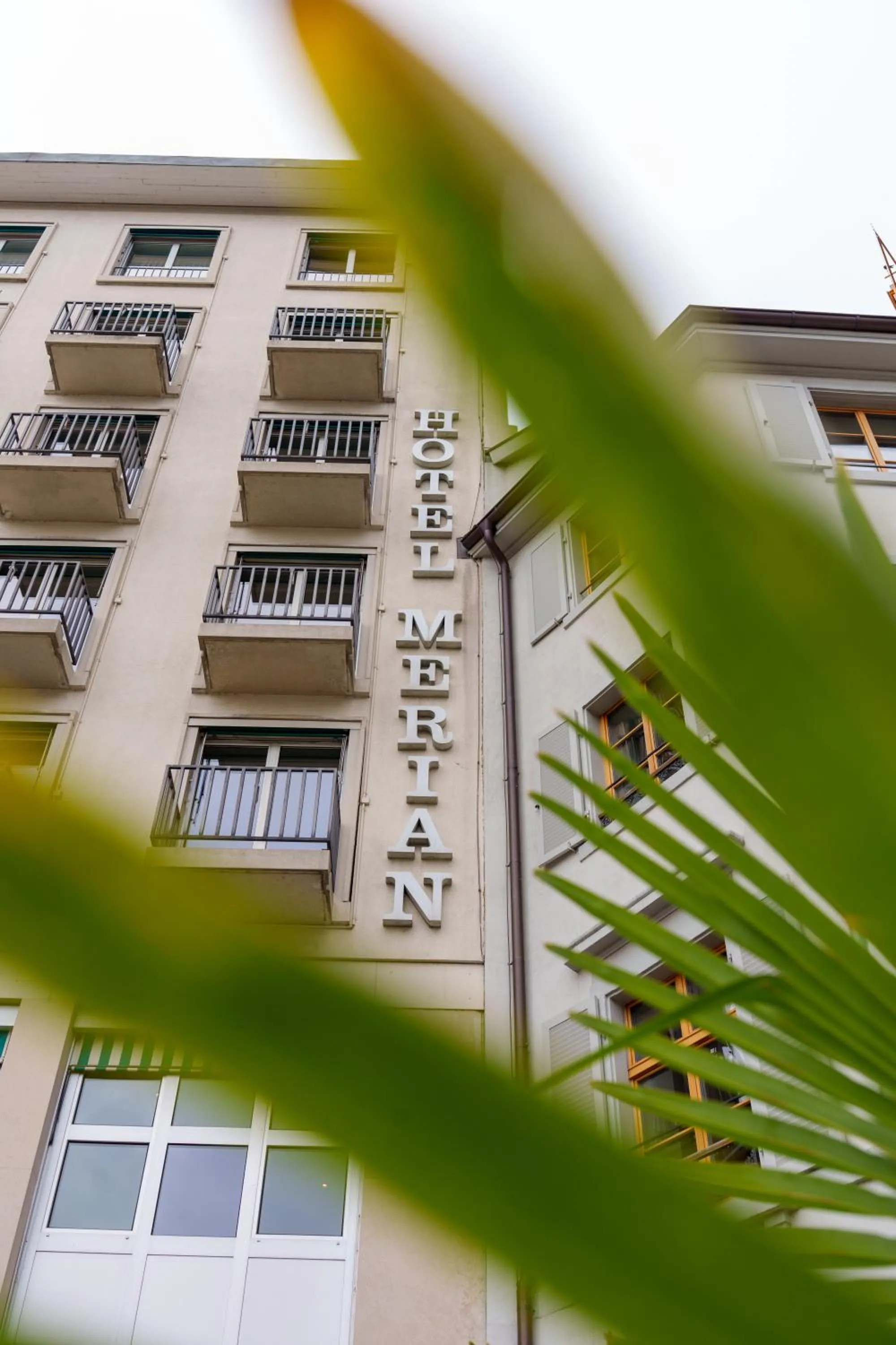 Property building in Merian am Rhein