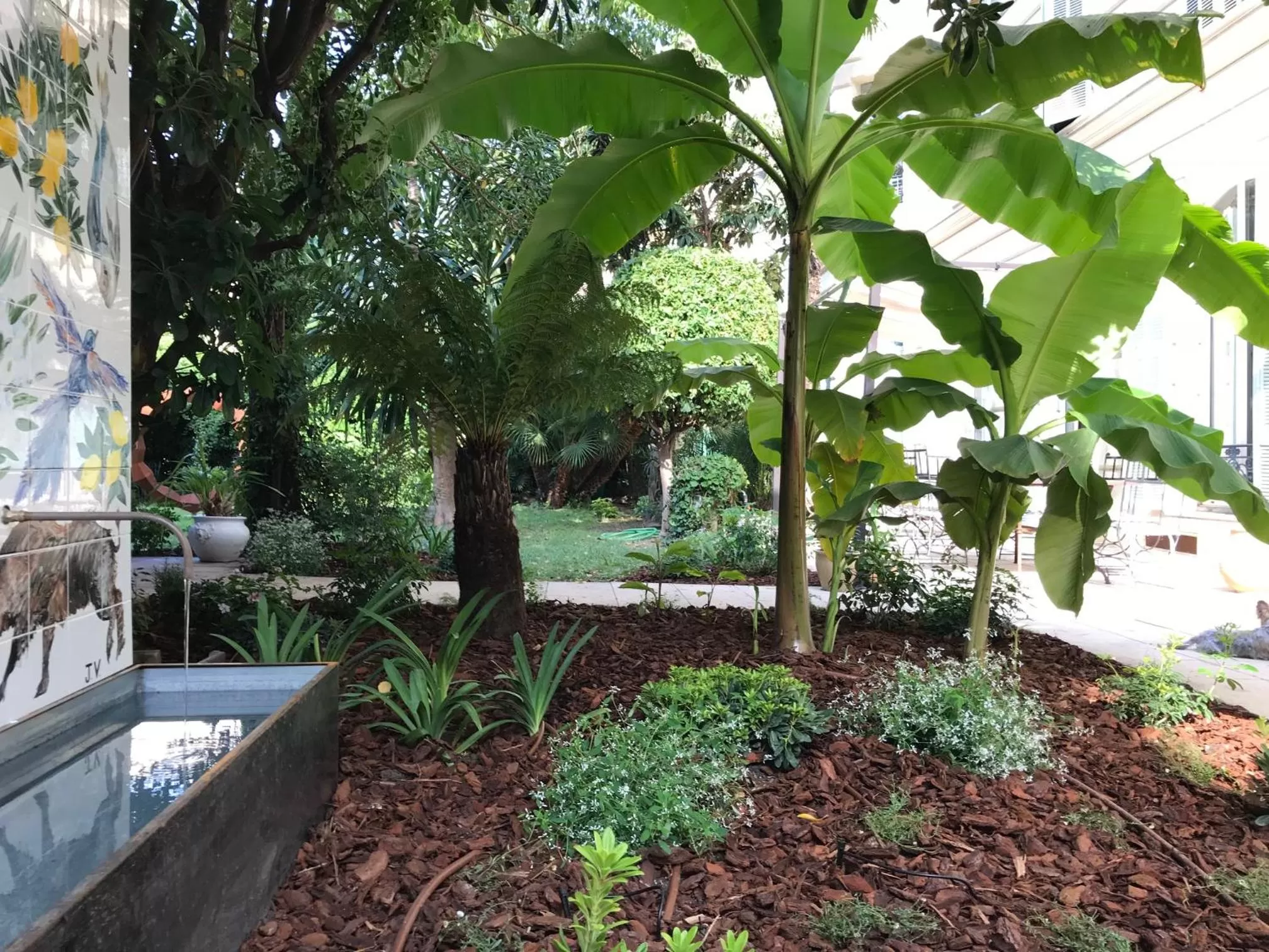 Garden in Chambres d'hôtes CASA MUSA - NICE