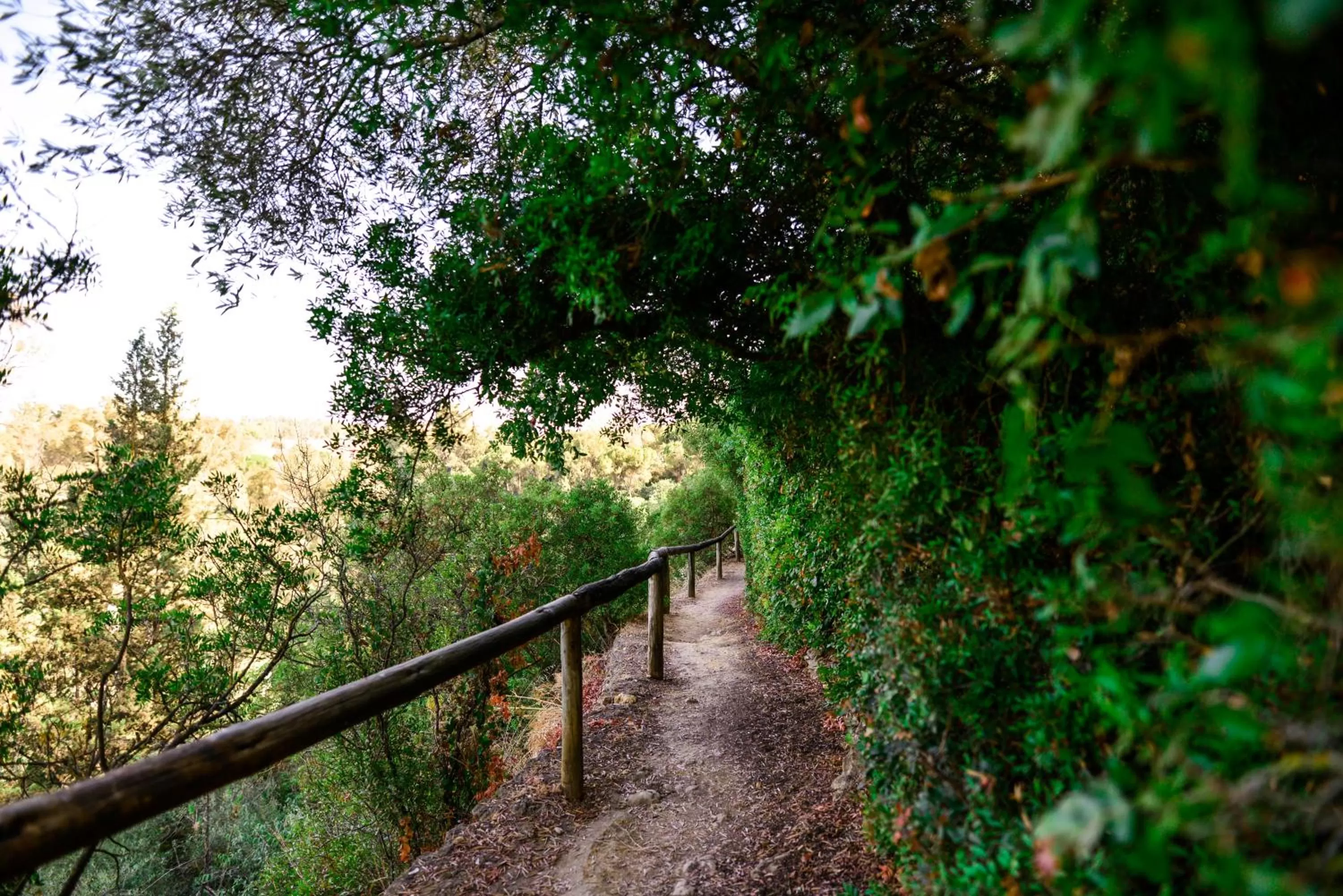 Nearby landmark in Hotel Oromana