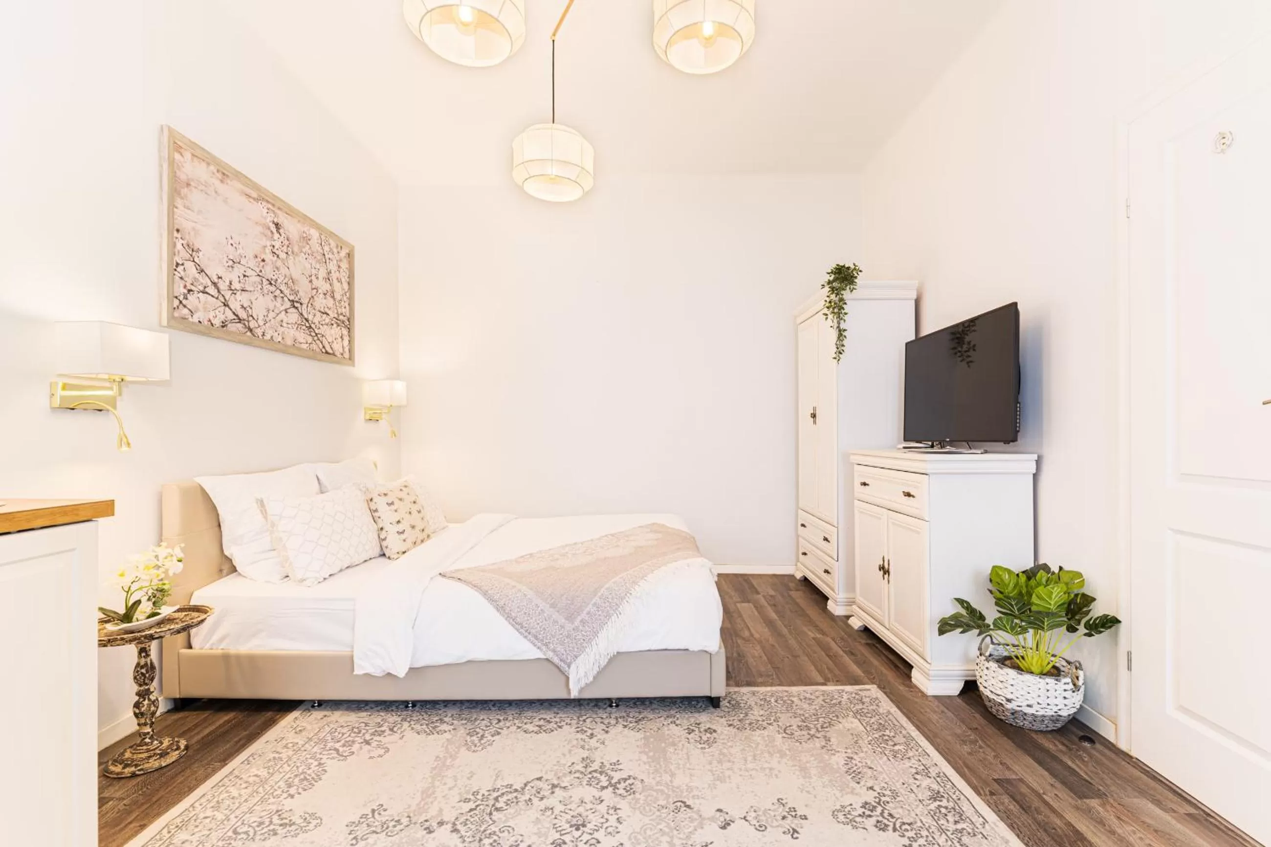 Photo of the whole room in ALBERT RESIDENCE with PARKING