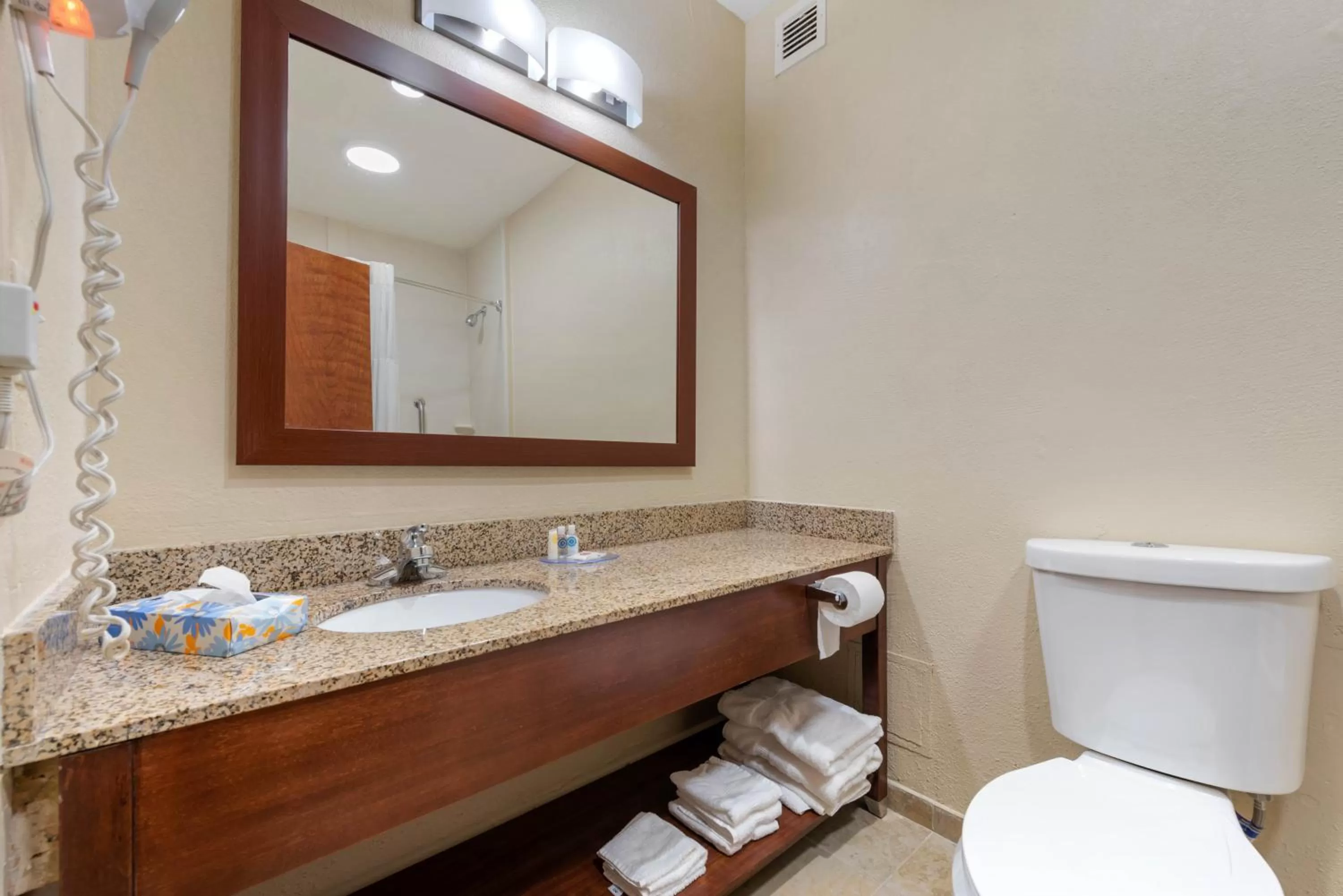 Toilet in Comfort Inn & Suites Michigan City South