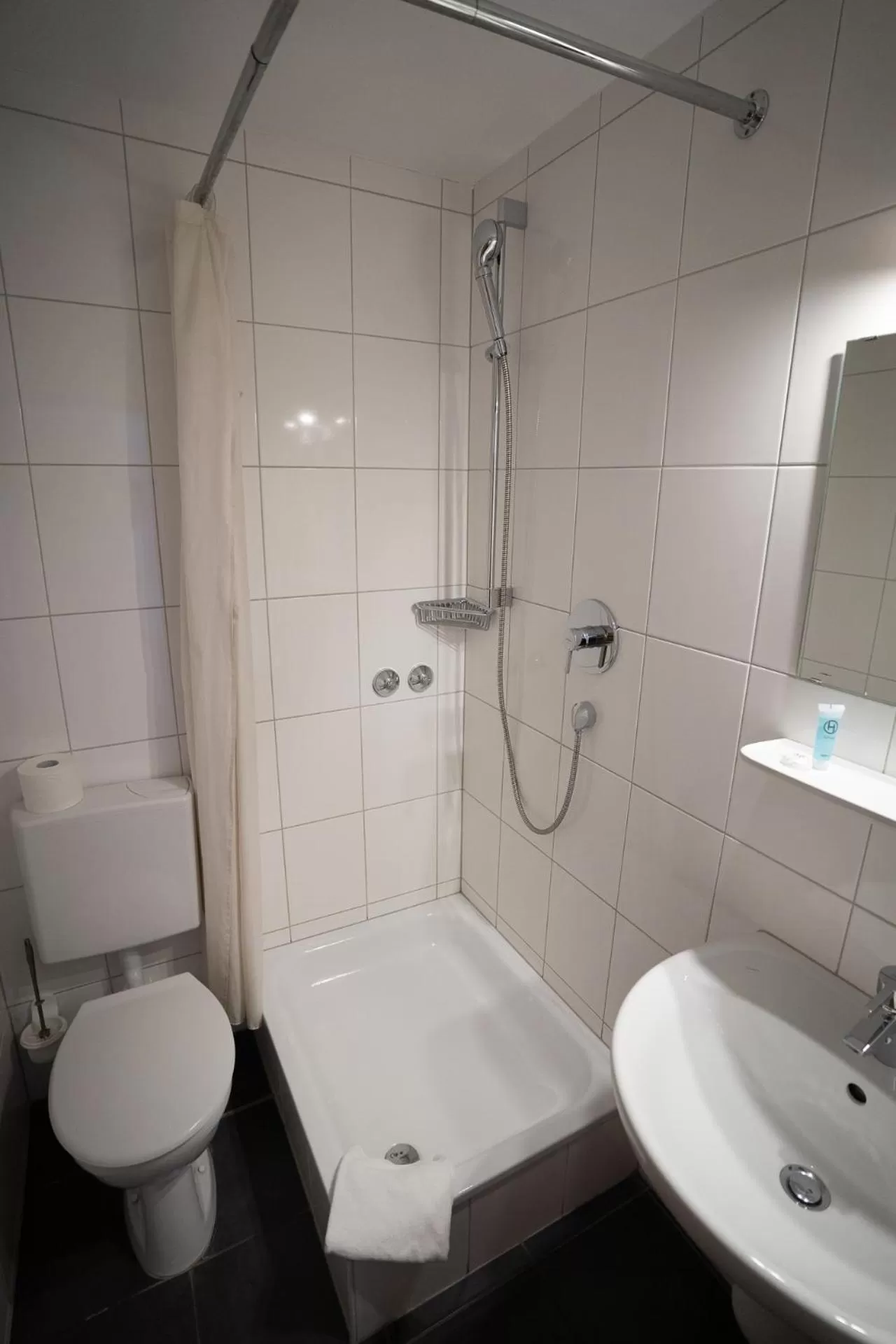 Bathroom in AP Hotel Viernheim am Kapellenberg