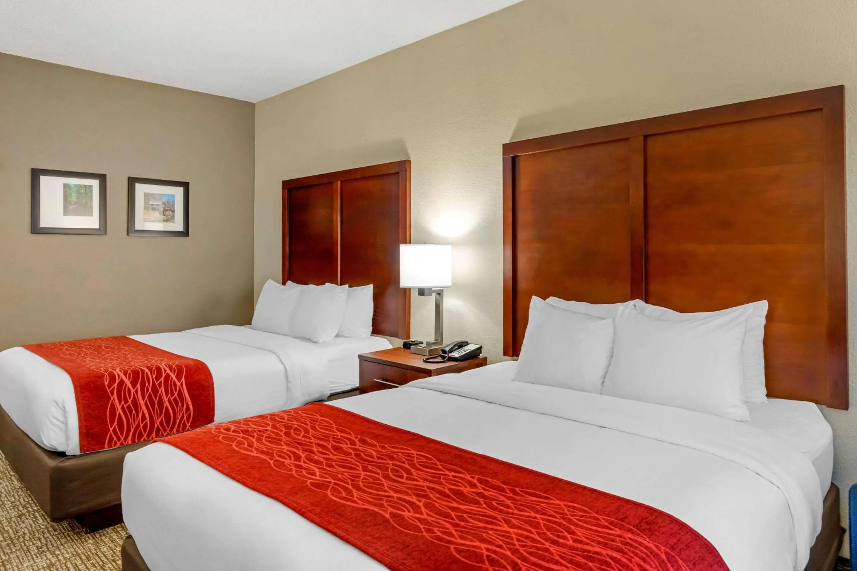 Photo of the whole room, Bed in Comfort Inn & Suites Canton Riverstone Area