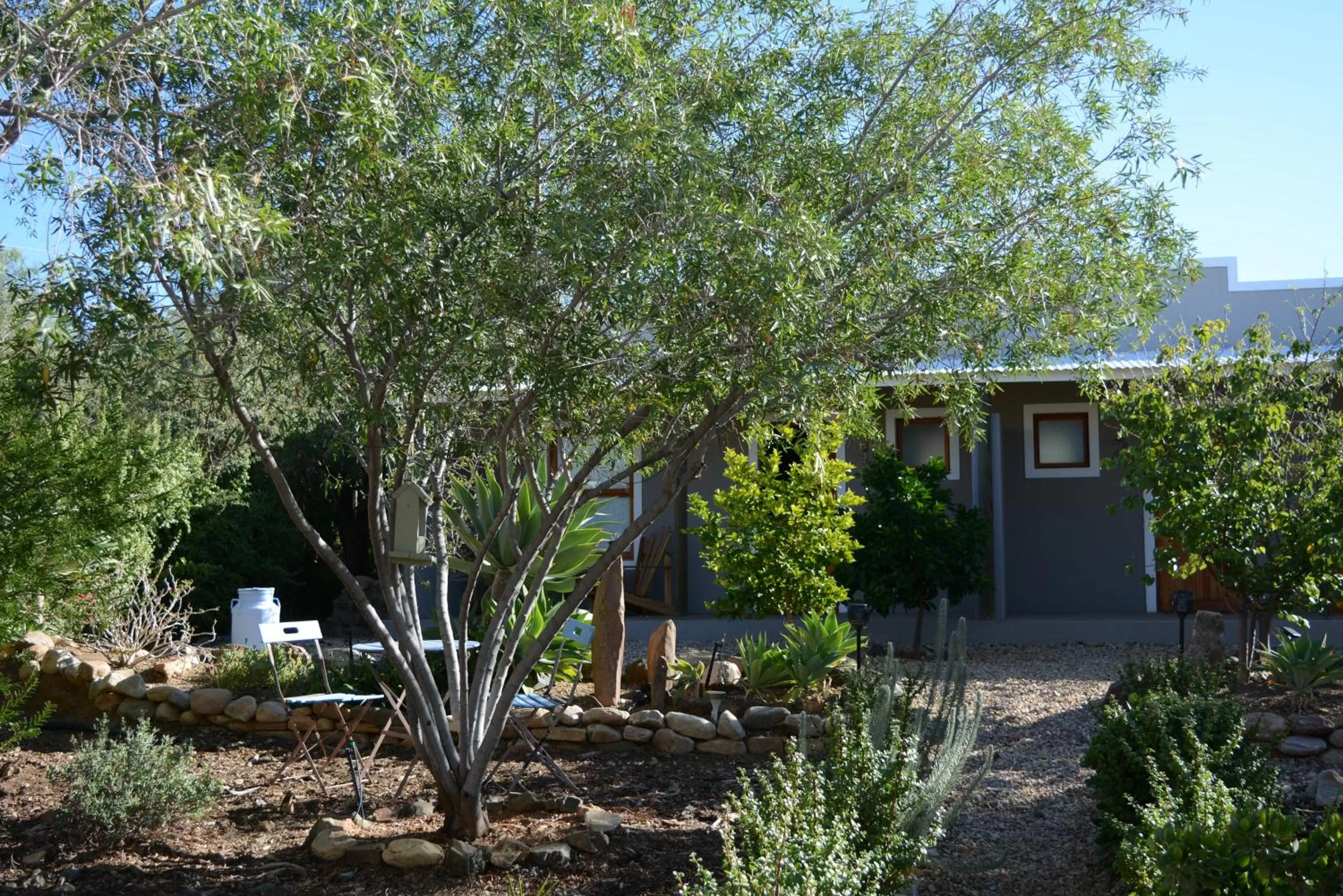 Garden in Travellers Rest