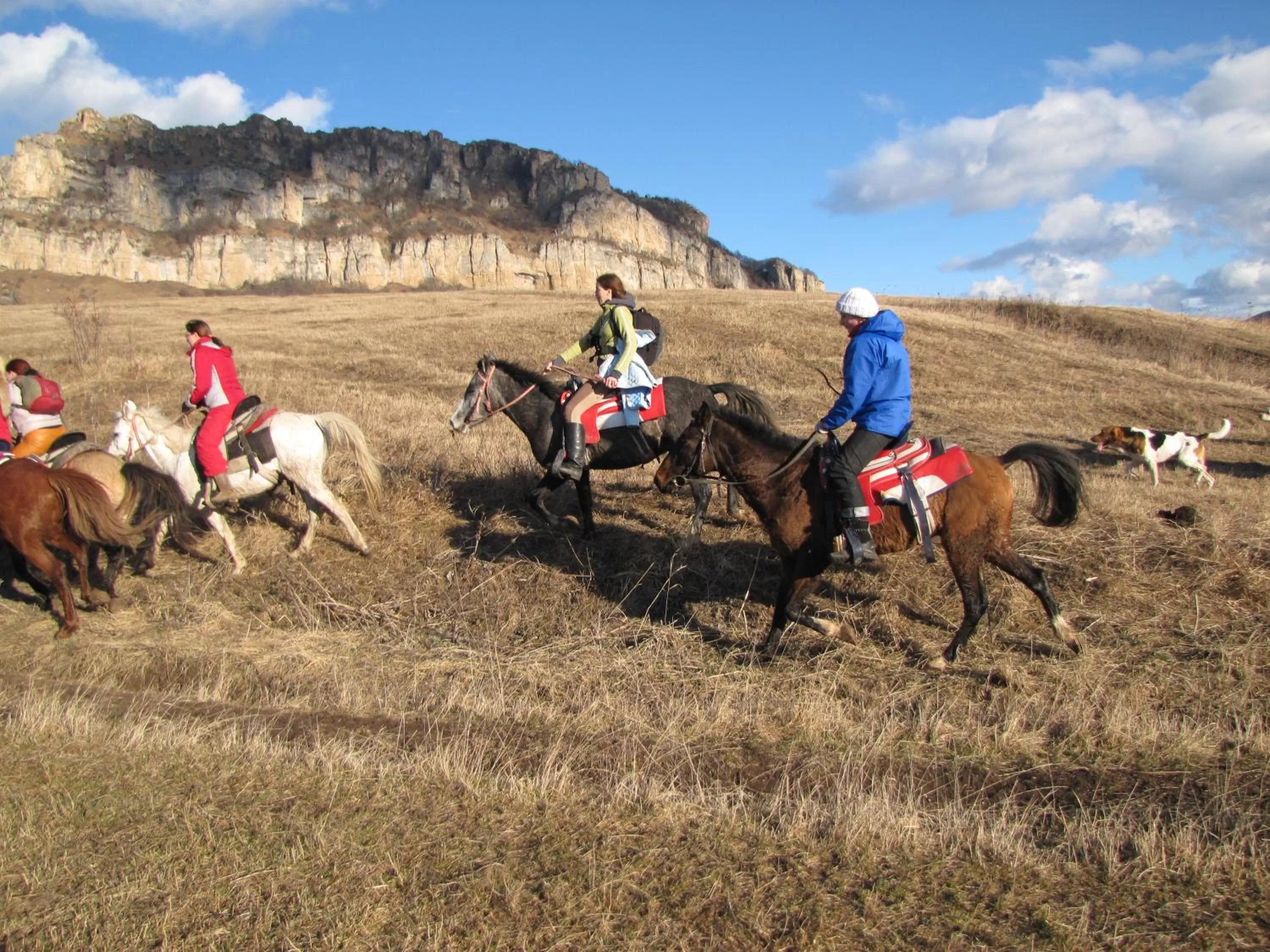 Horse-riding, Horseback Riding in Apaga Resort