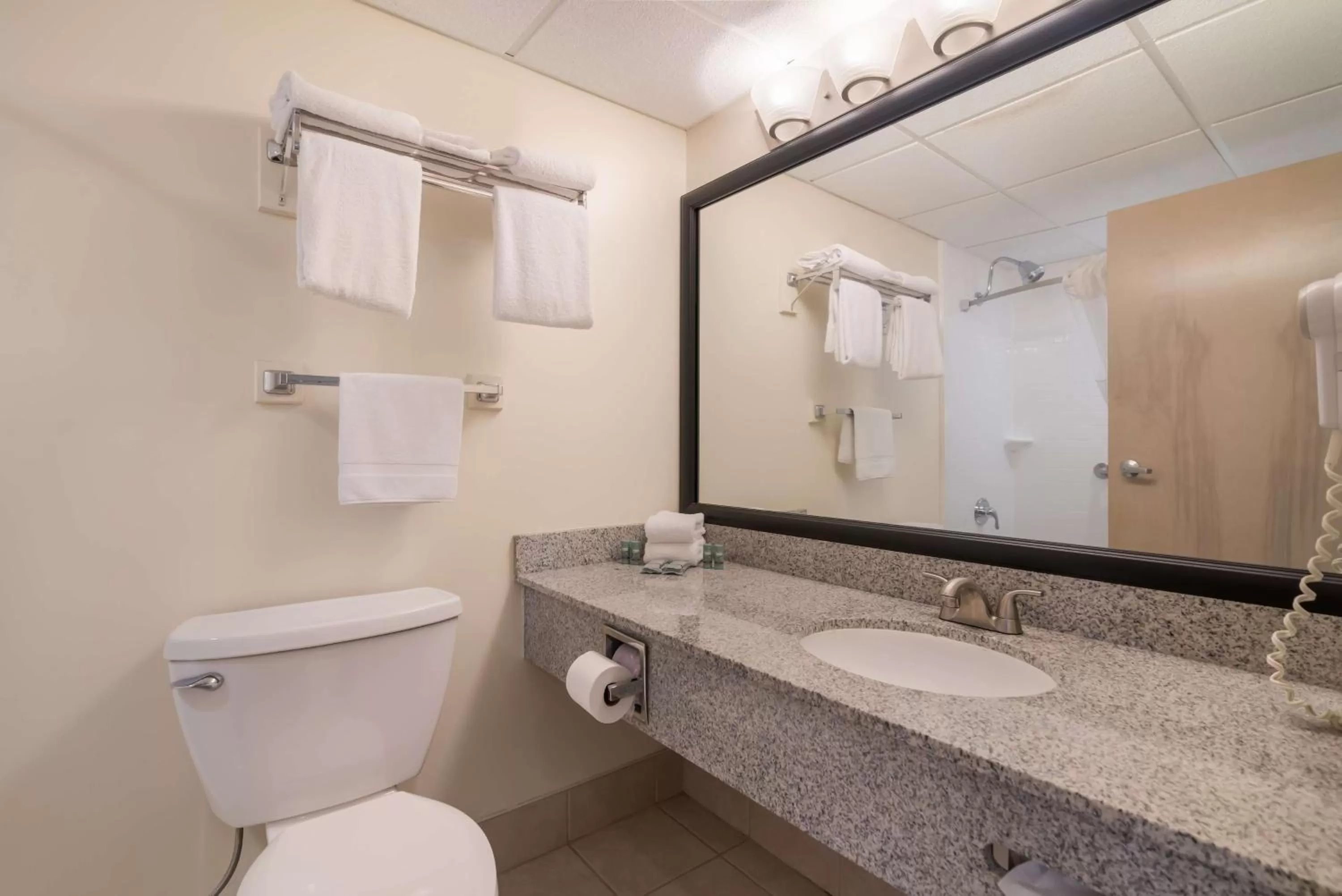 Bathroom in Best Western Saranac Lake