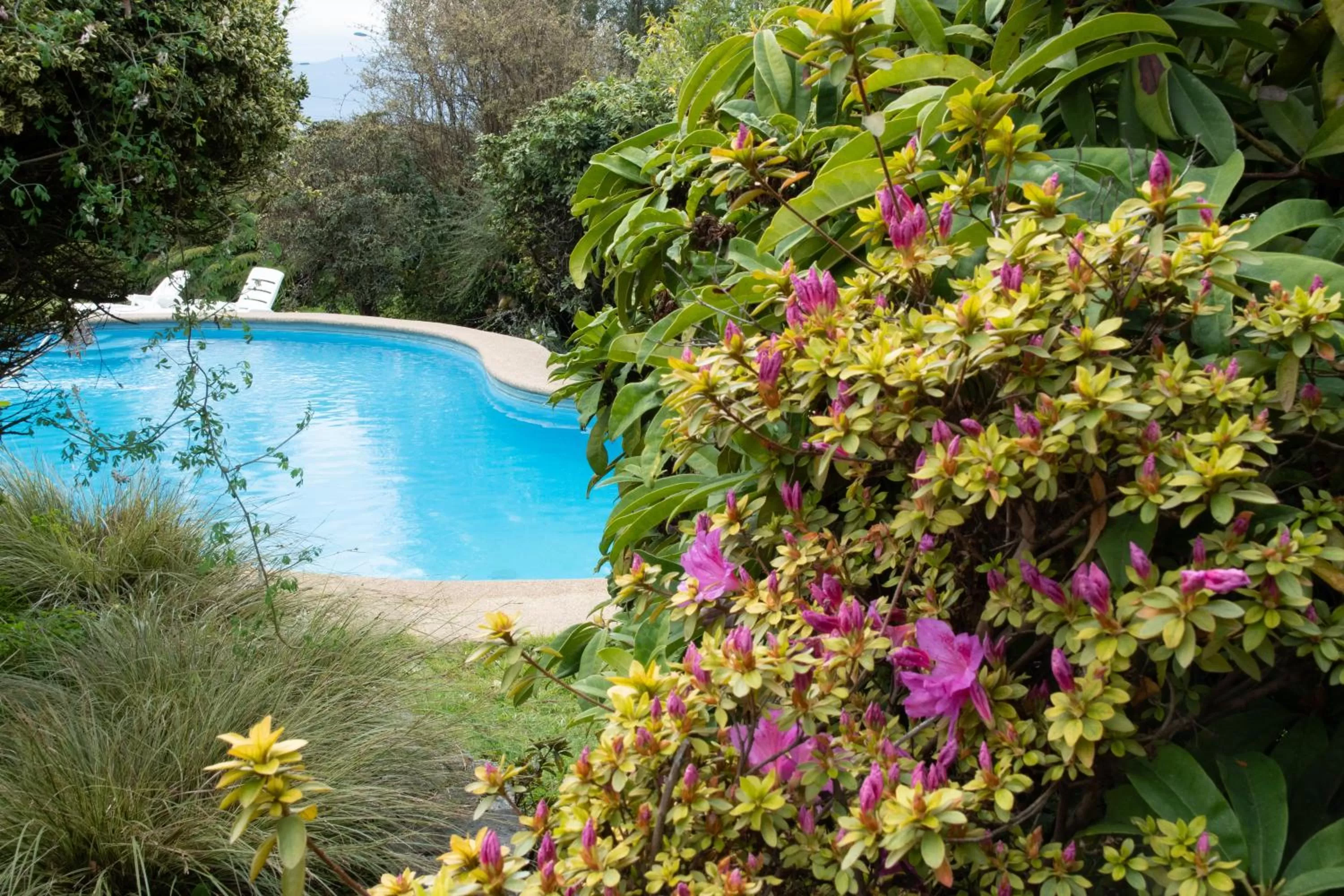 Pool view, Swimming Pool in Hotel El Ciervo