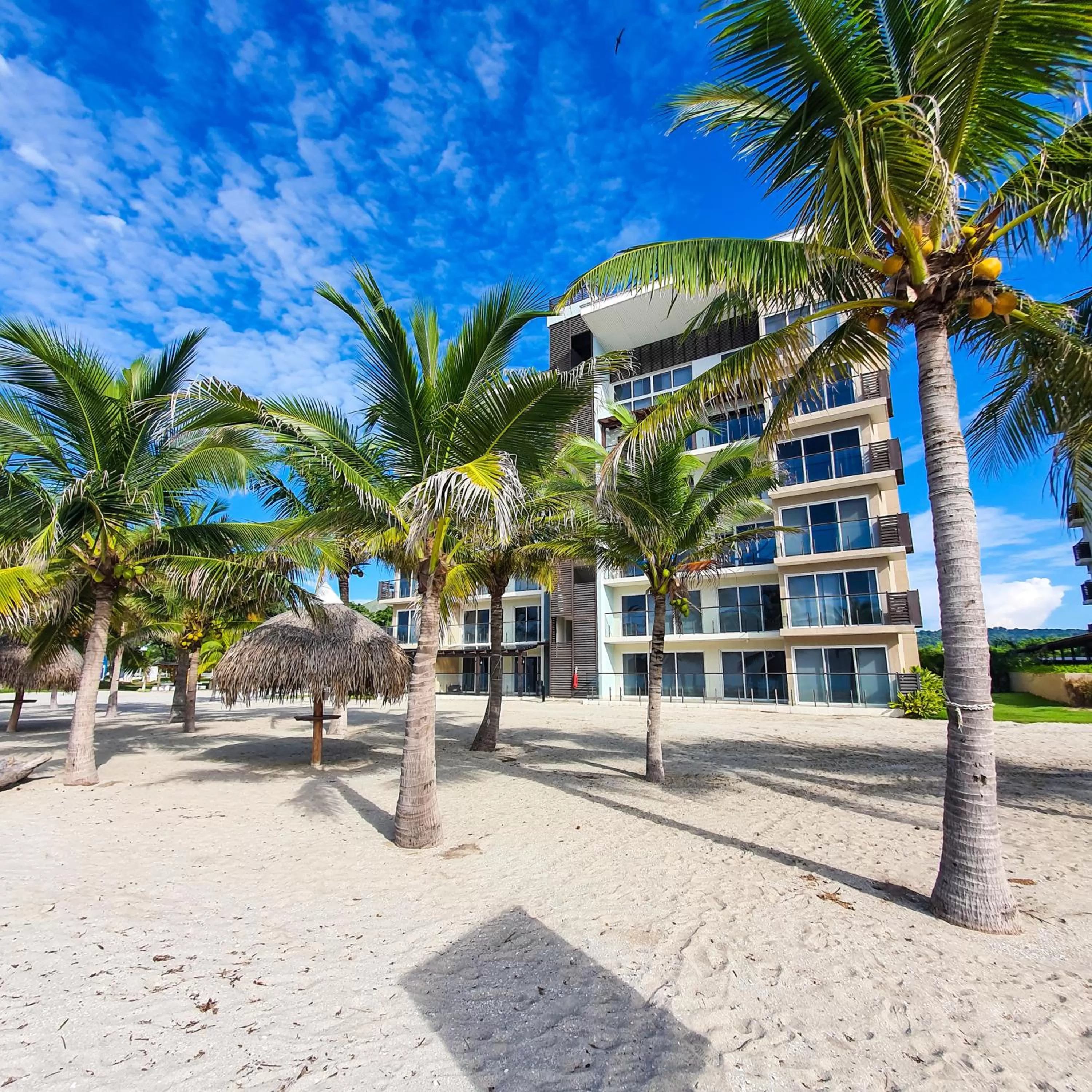 Beach, Property Building in Playa Caracol Residences