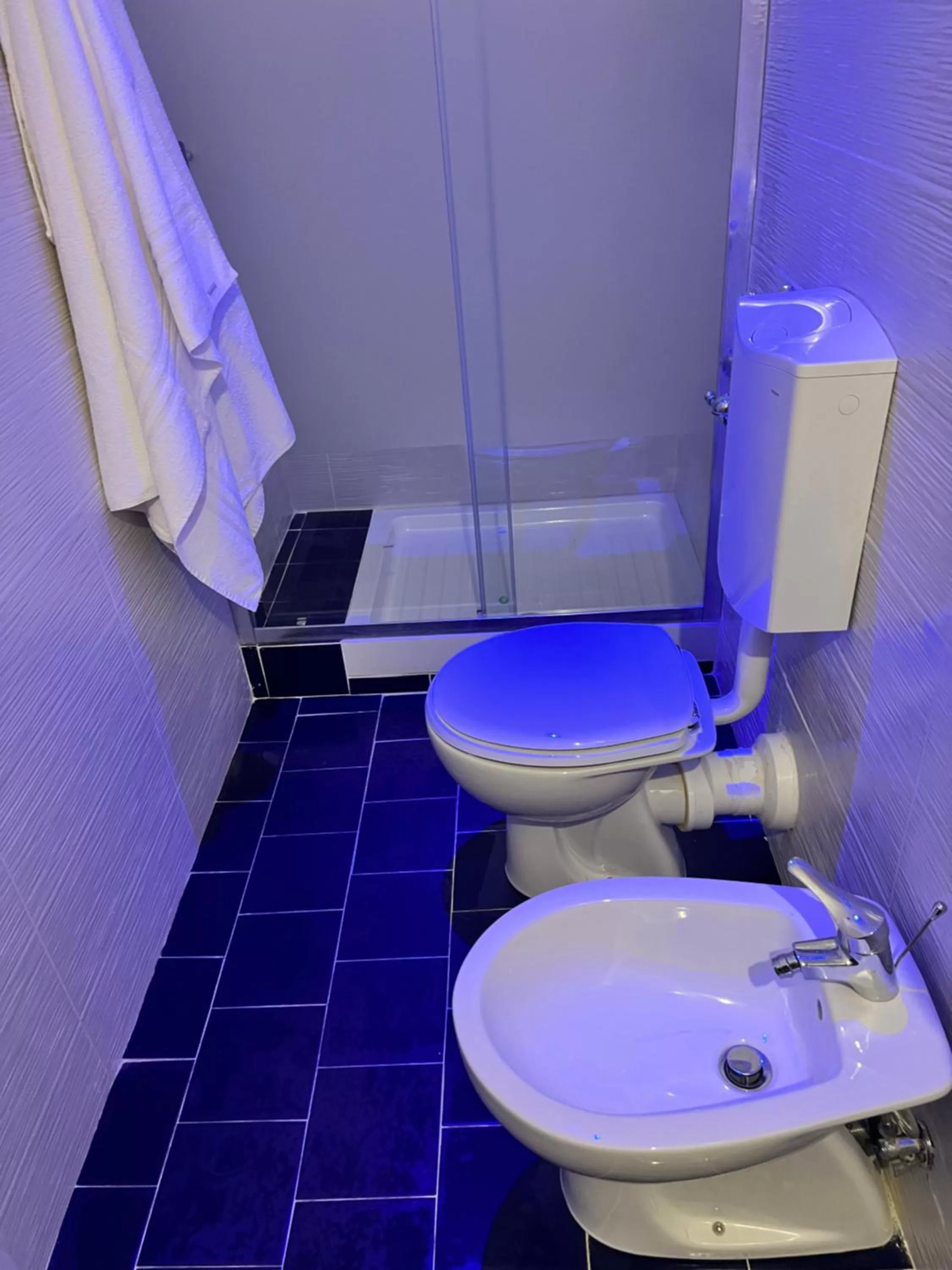 Toilet in Guest House Biondi