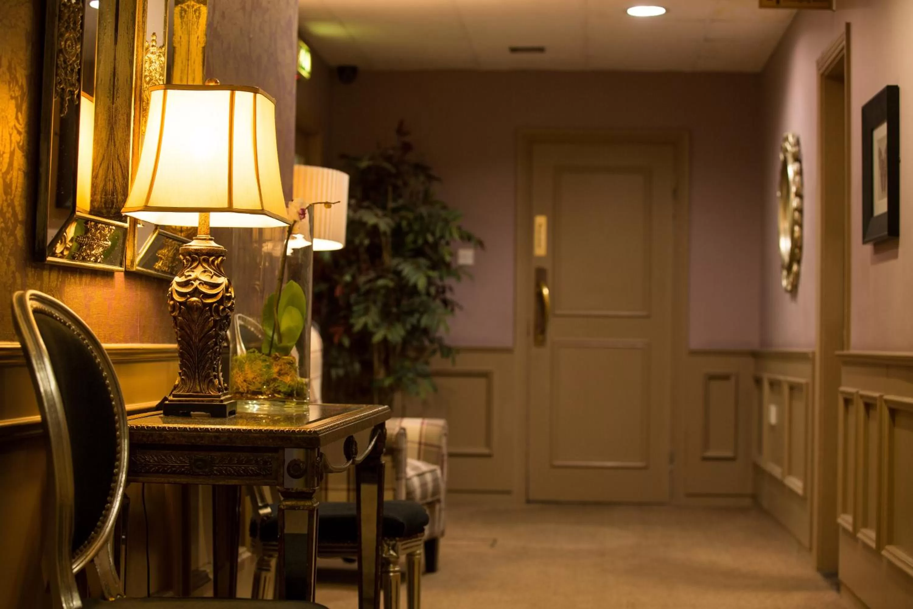 Area and facilities in Anner Hotel