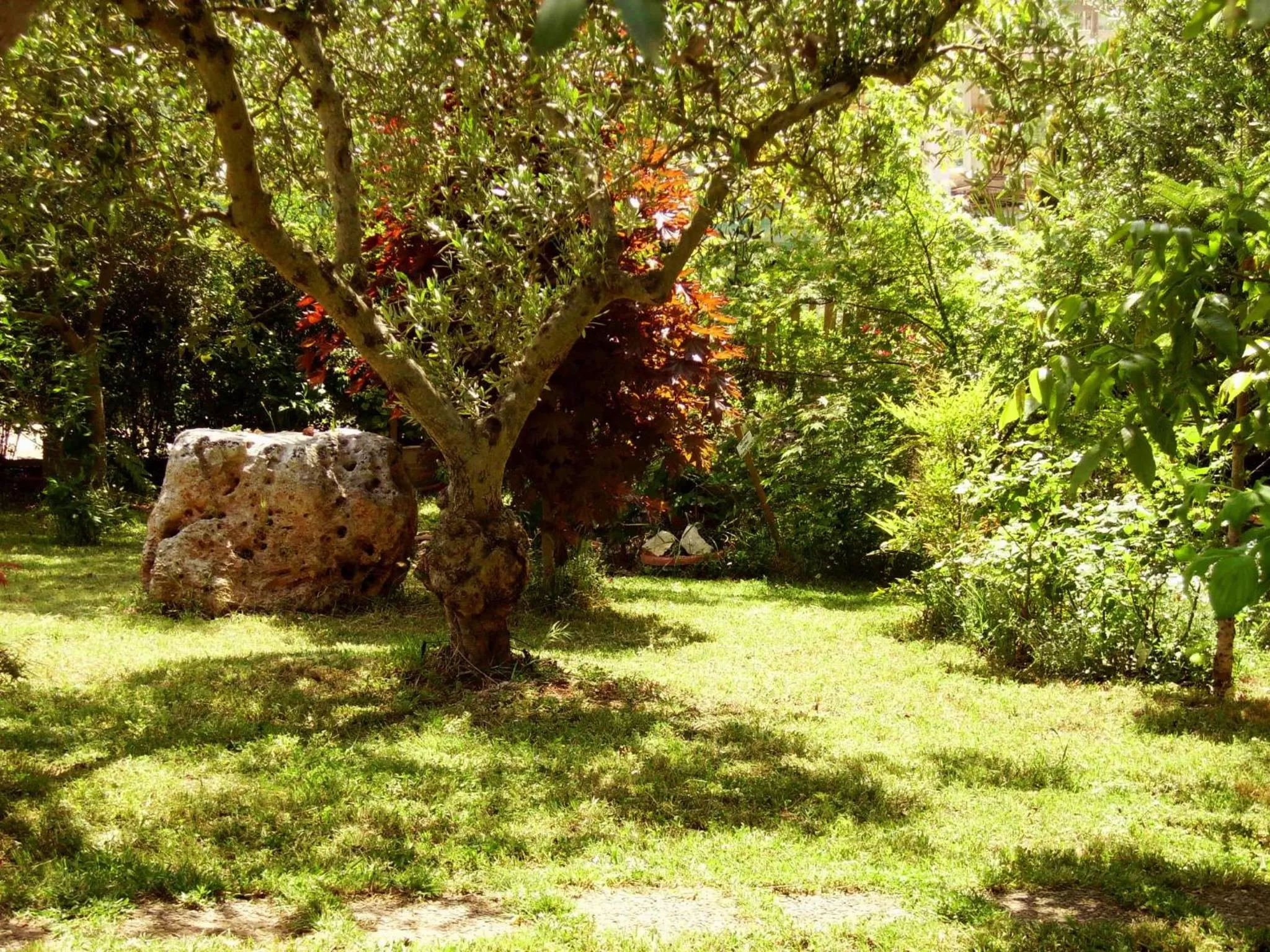 Garden in La Cascata