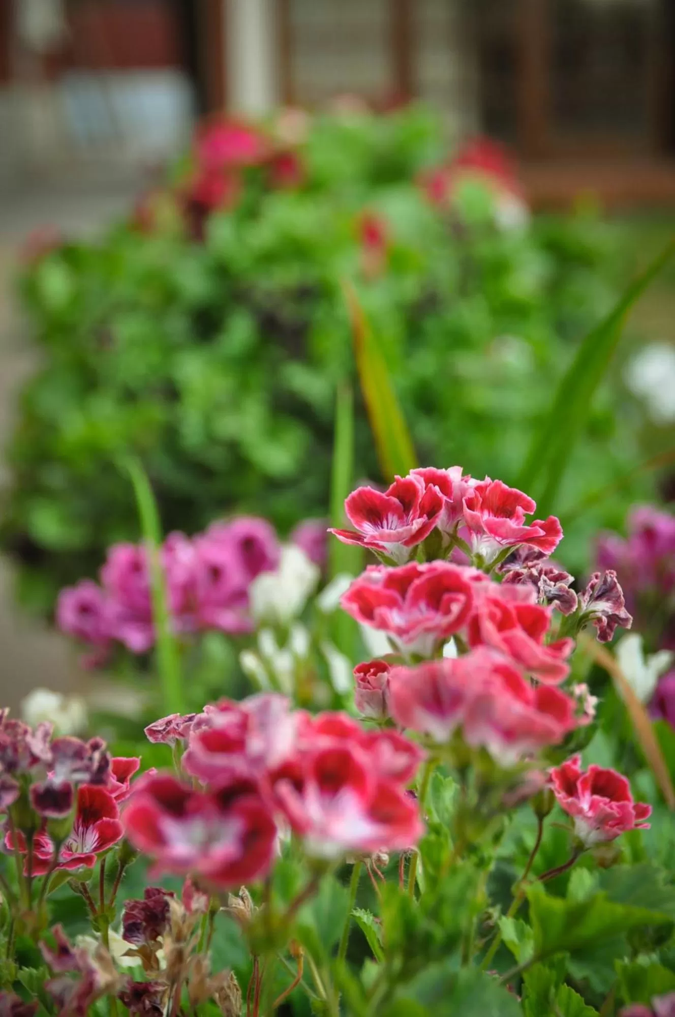 Anami Hotel Boutique