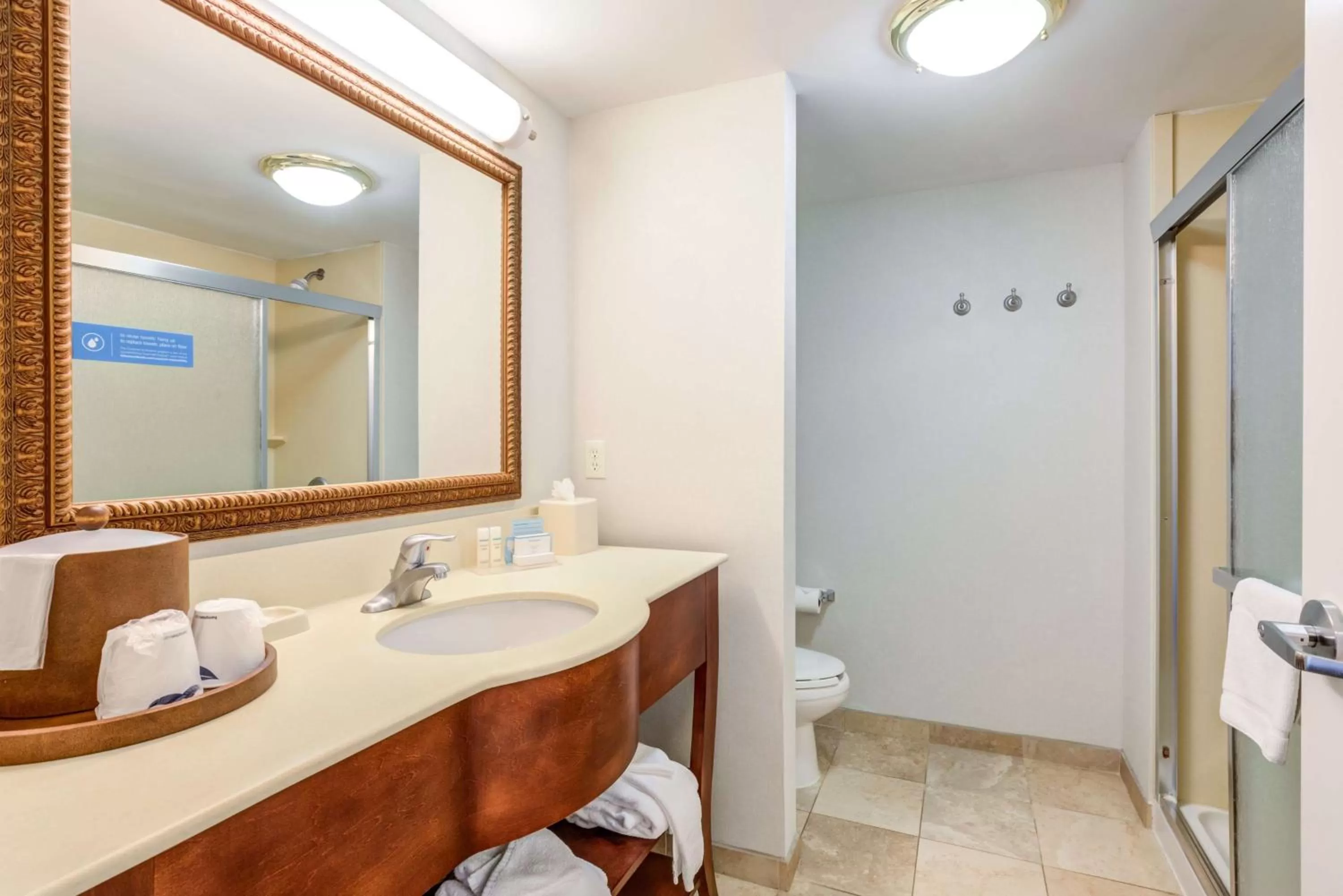 Bathroom in Hampton Inn & Suites Westford-Chelmsford