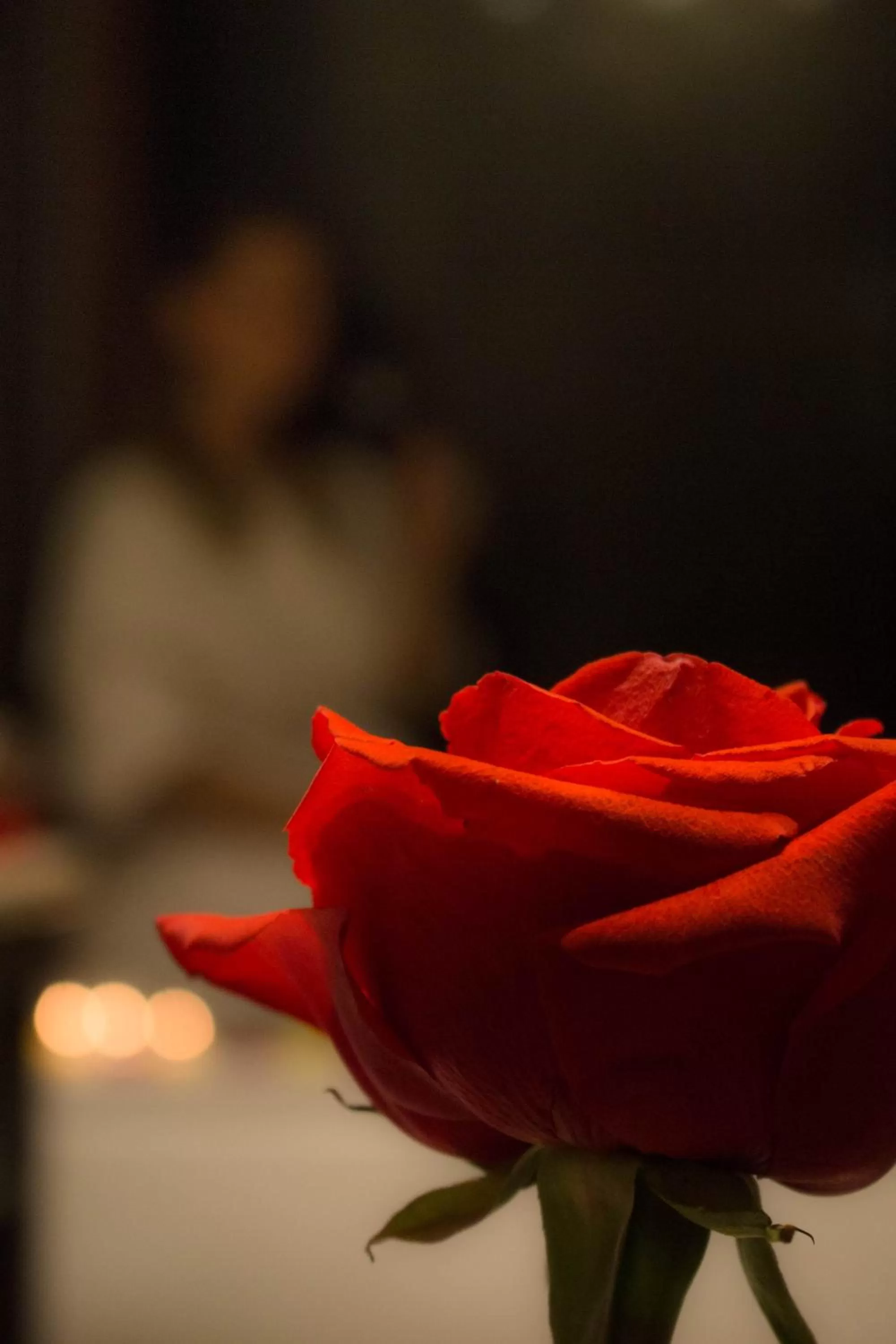 Decorative detail in Aldea Real Eco Friendly