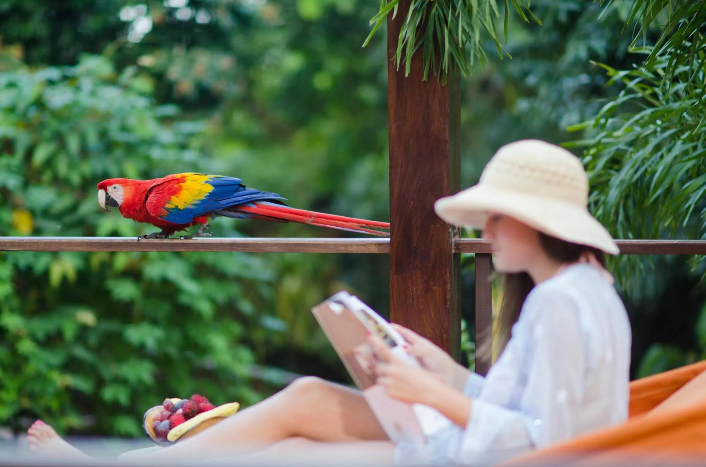 Animals in Nayara Springs - Adults Only