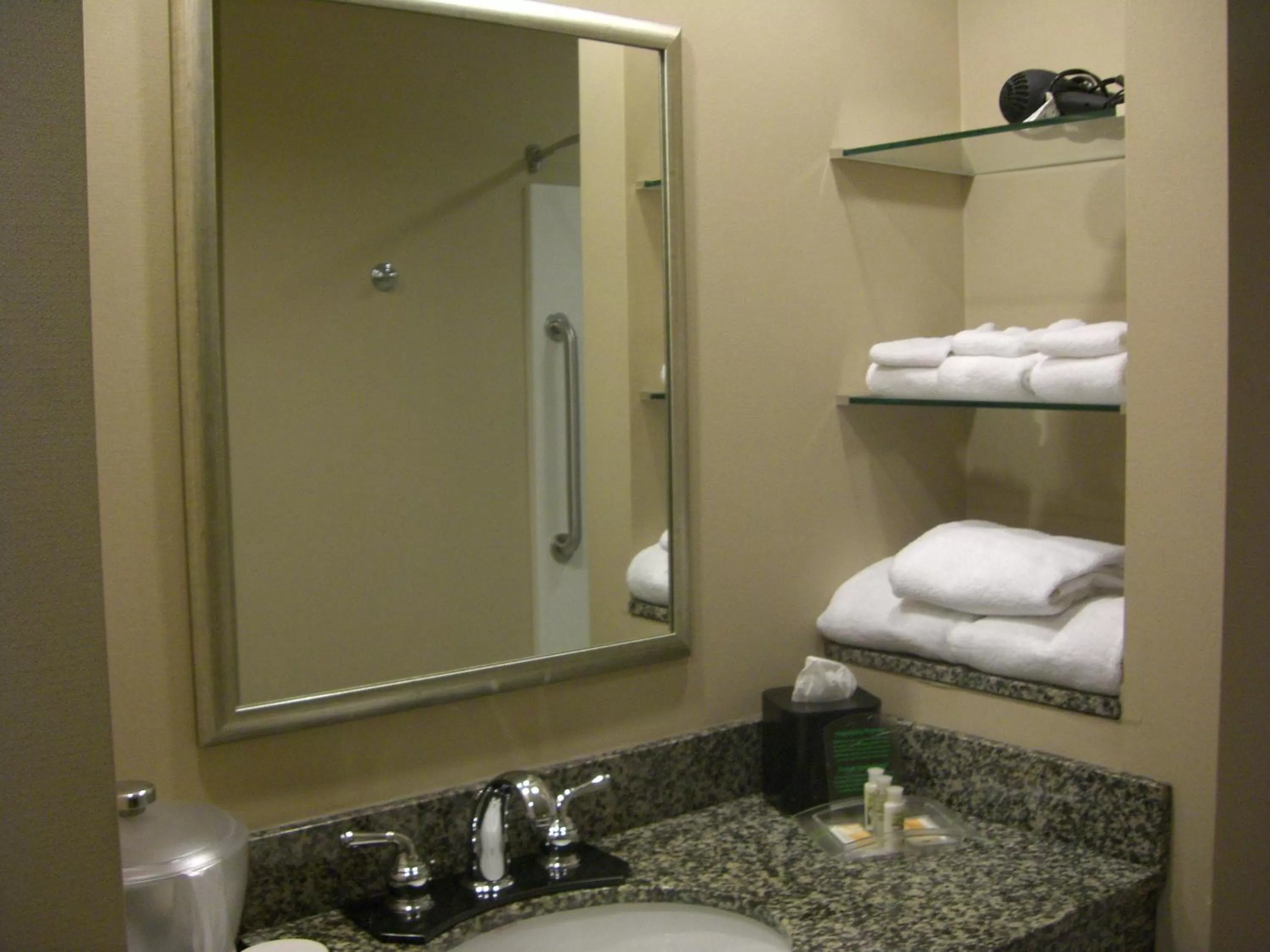 Bathroom in Holiday Inn St. Paul Northeast - Lake Elmo by IHG