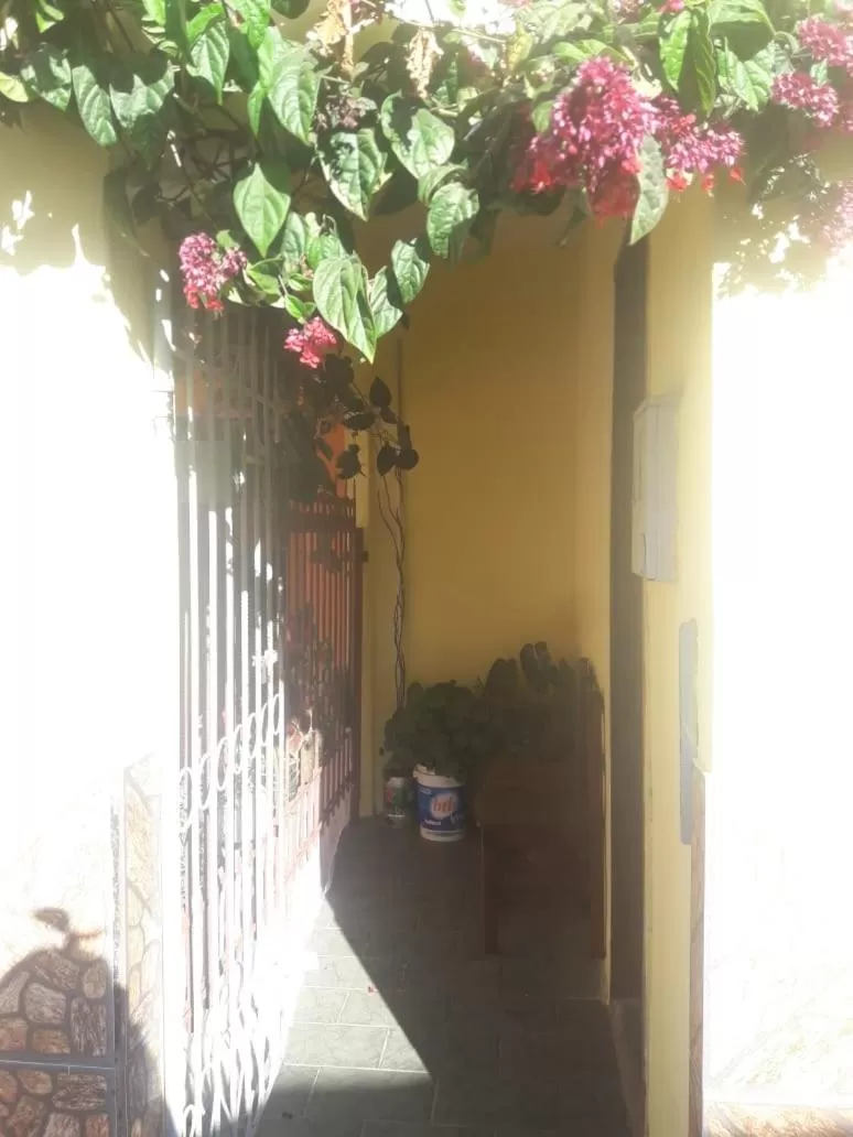 Garden in Pousada Reino Encantado - São Thomé das Letras - Minas Gerais