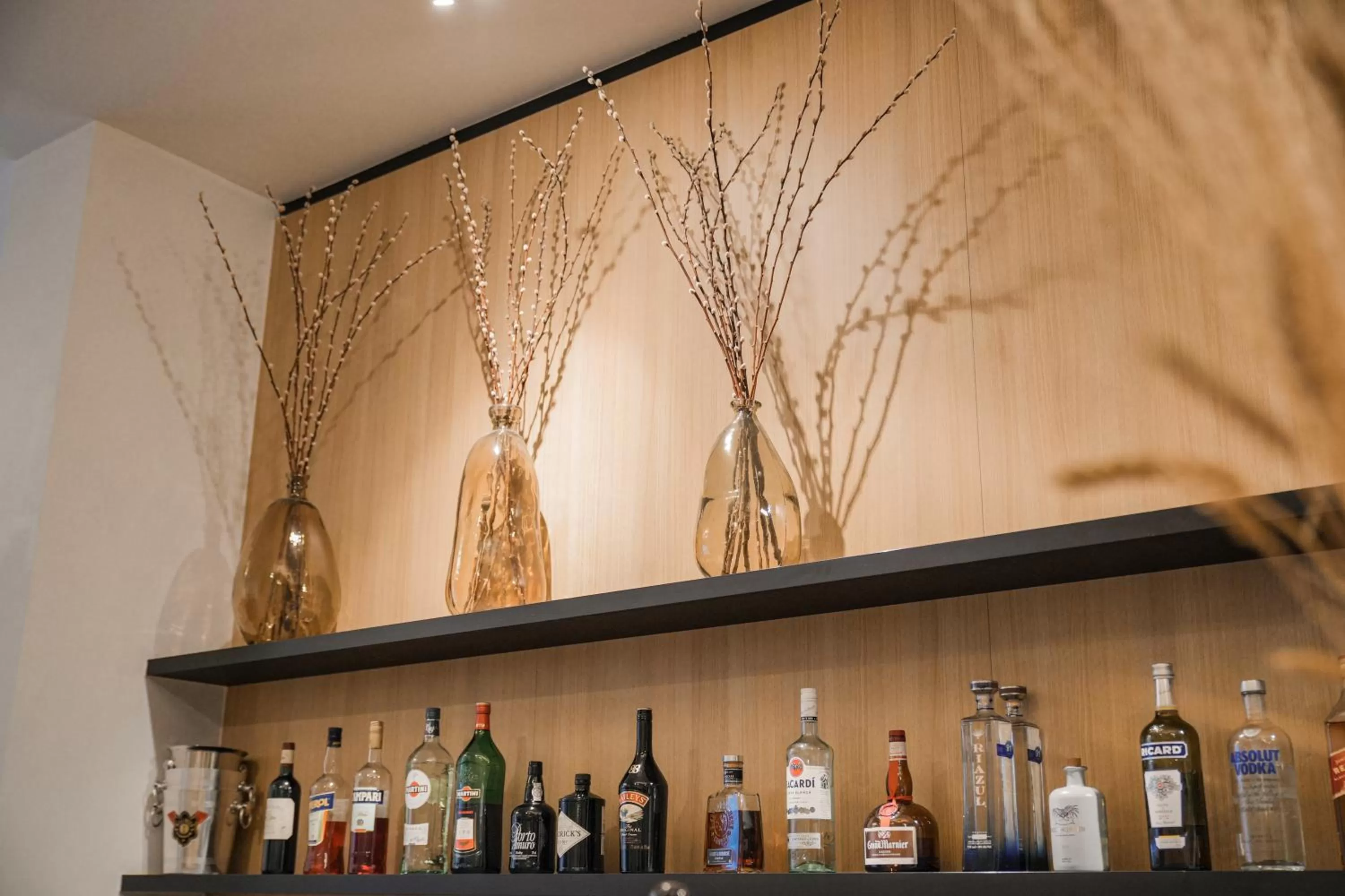 Lounge or bar in Hotel Louisa