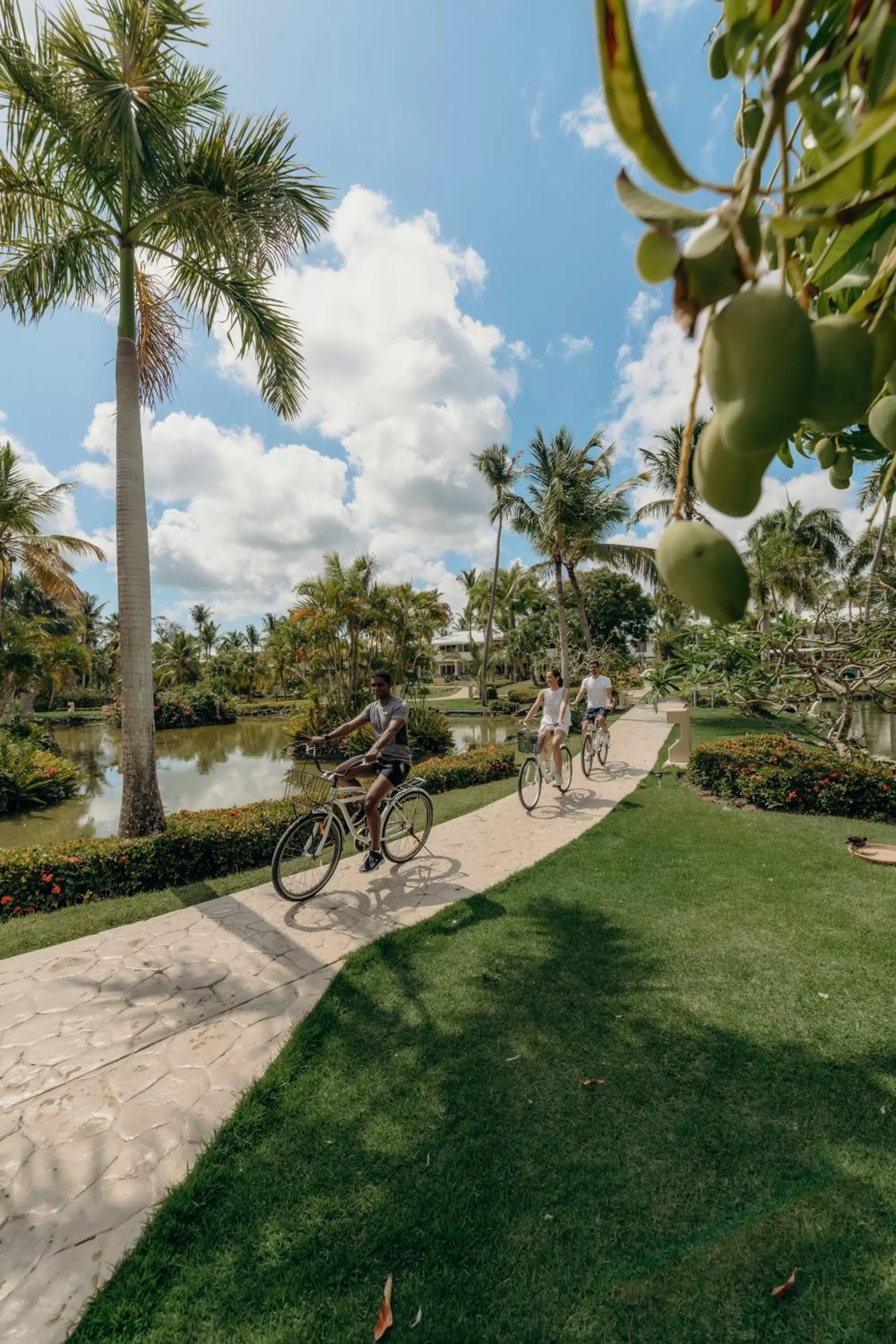 Activities in Meliá Punta Cana Beach Wellness Inclusive - Adults only