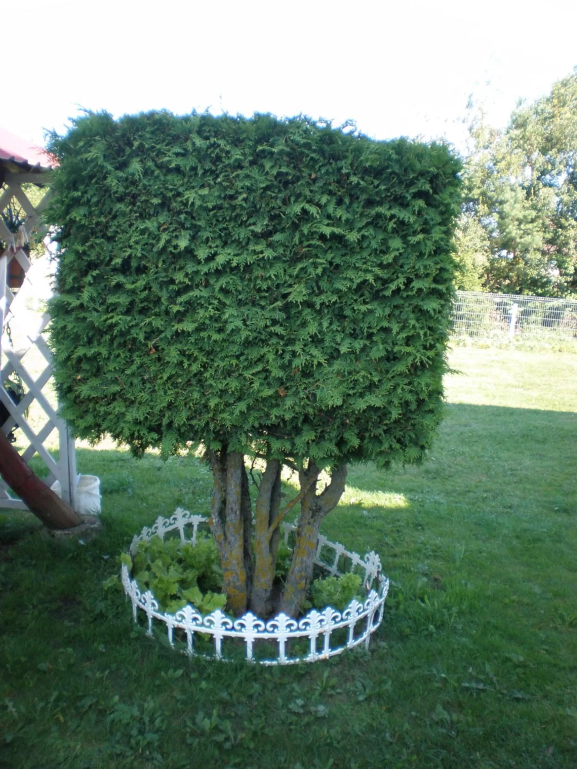 Garden view, Garden in Hotel Getliin