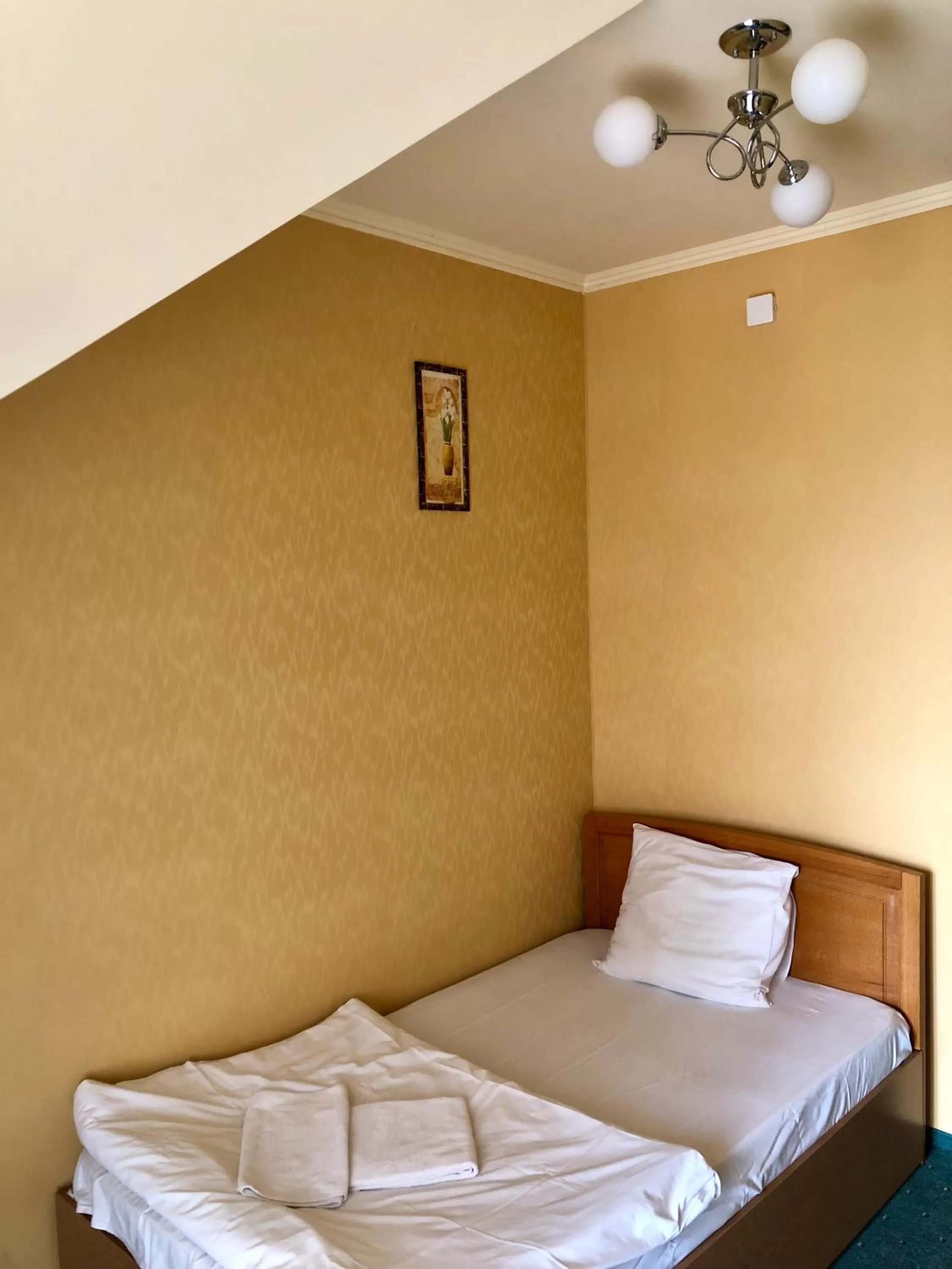 Bed in Chervona Gora