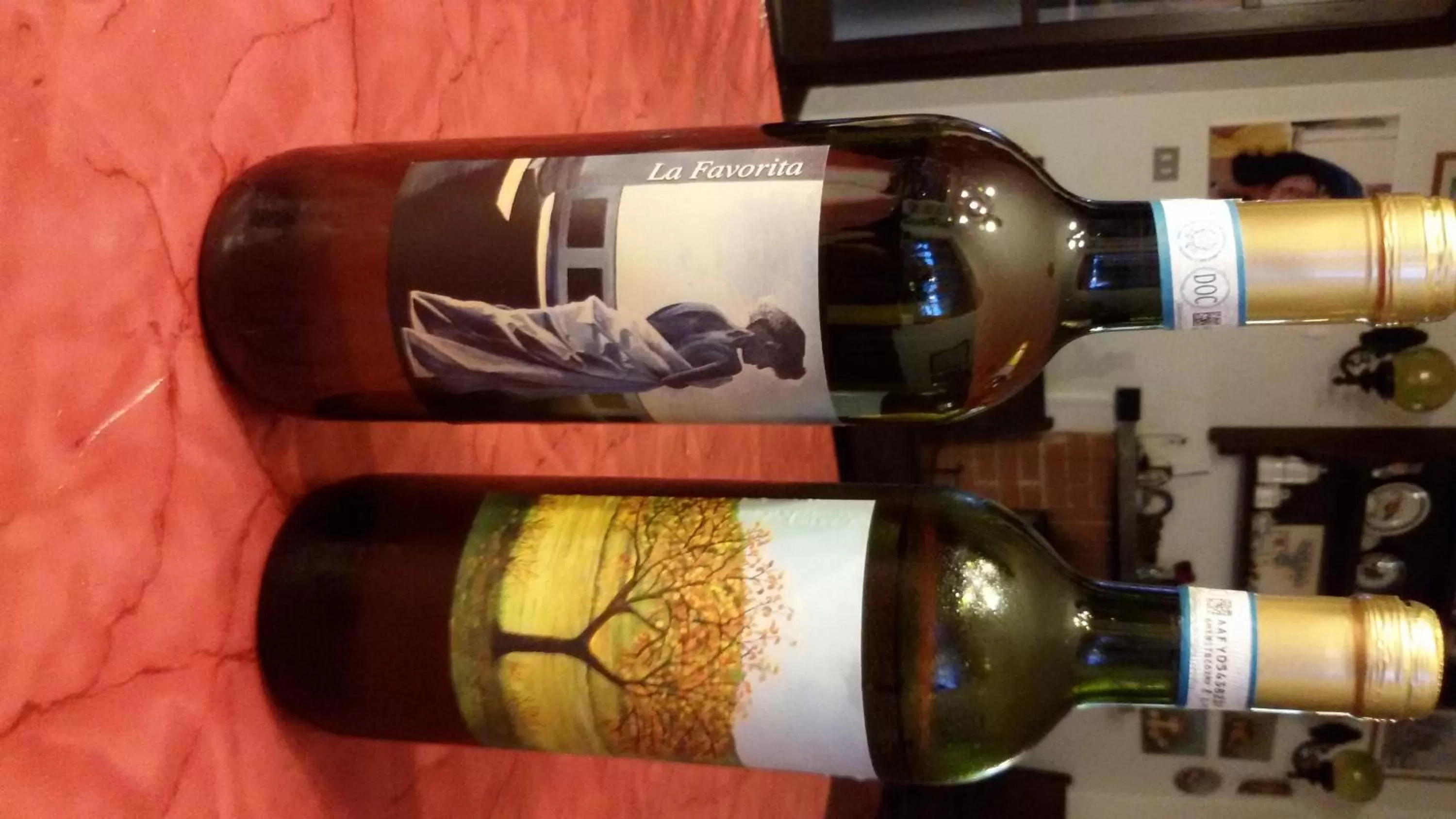 Activities in Cascina Torello