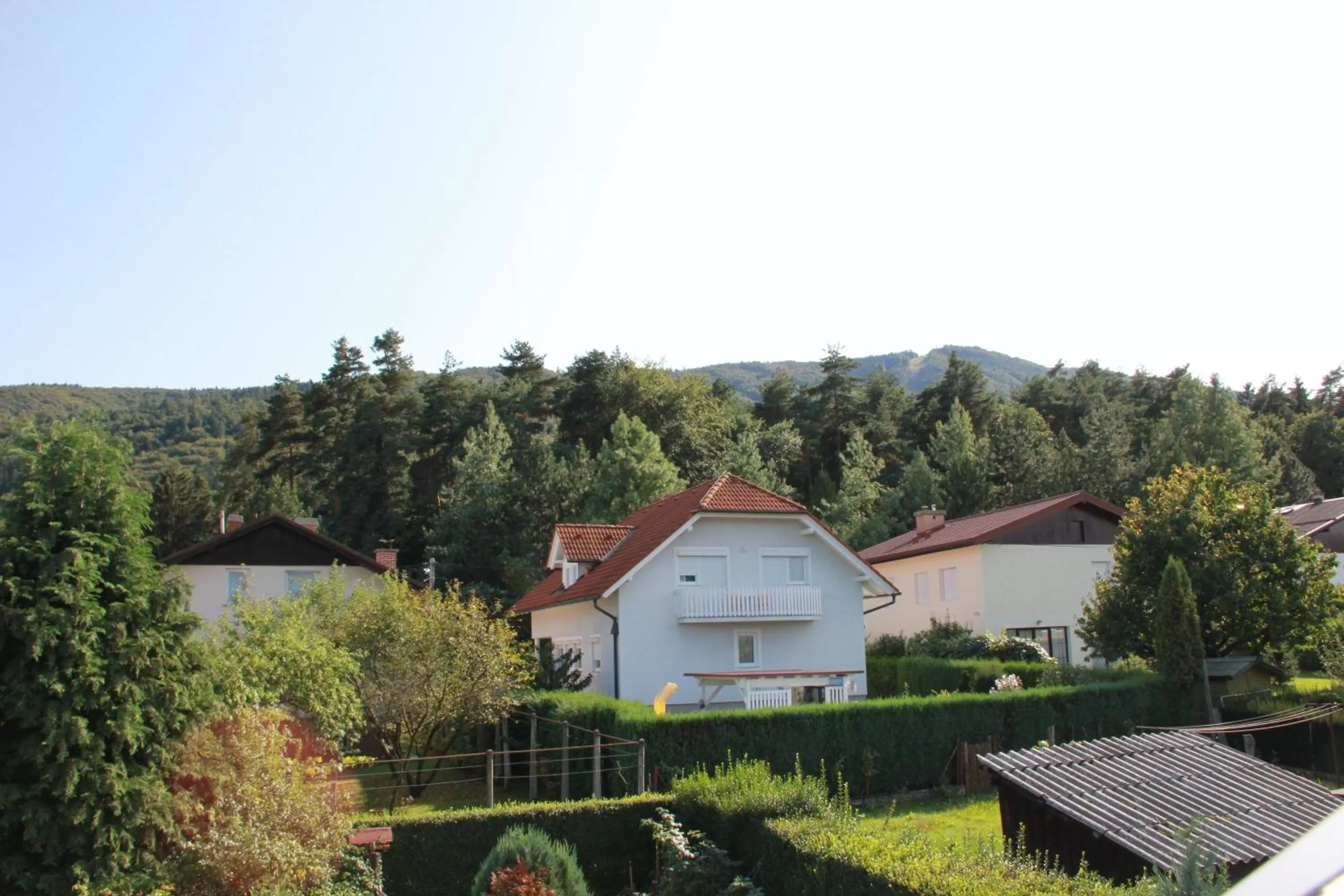 View (from property/room) in Mekina Guesthouse