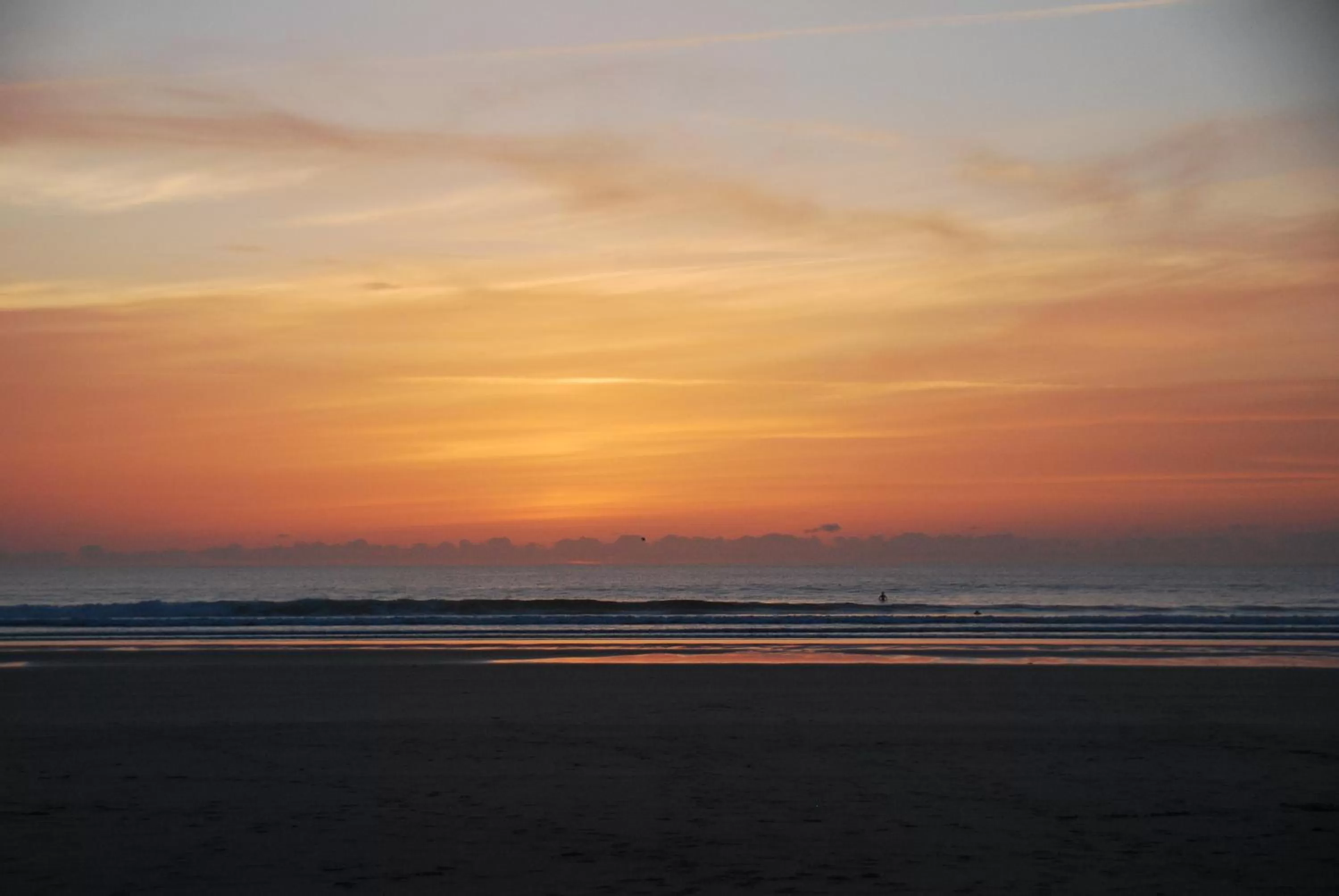 Area and facilities in Fig Tree House