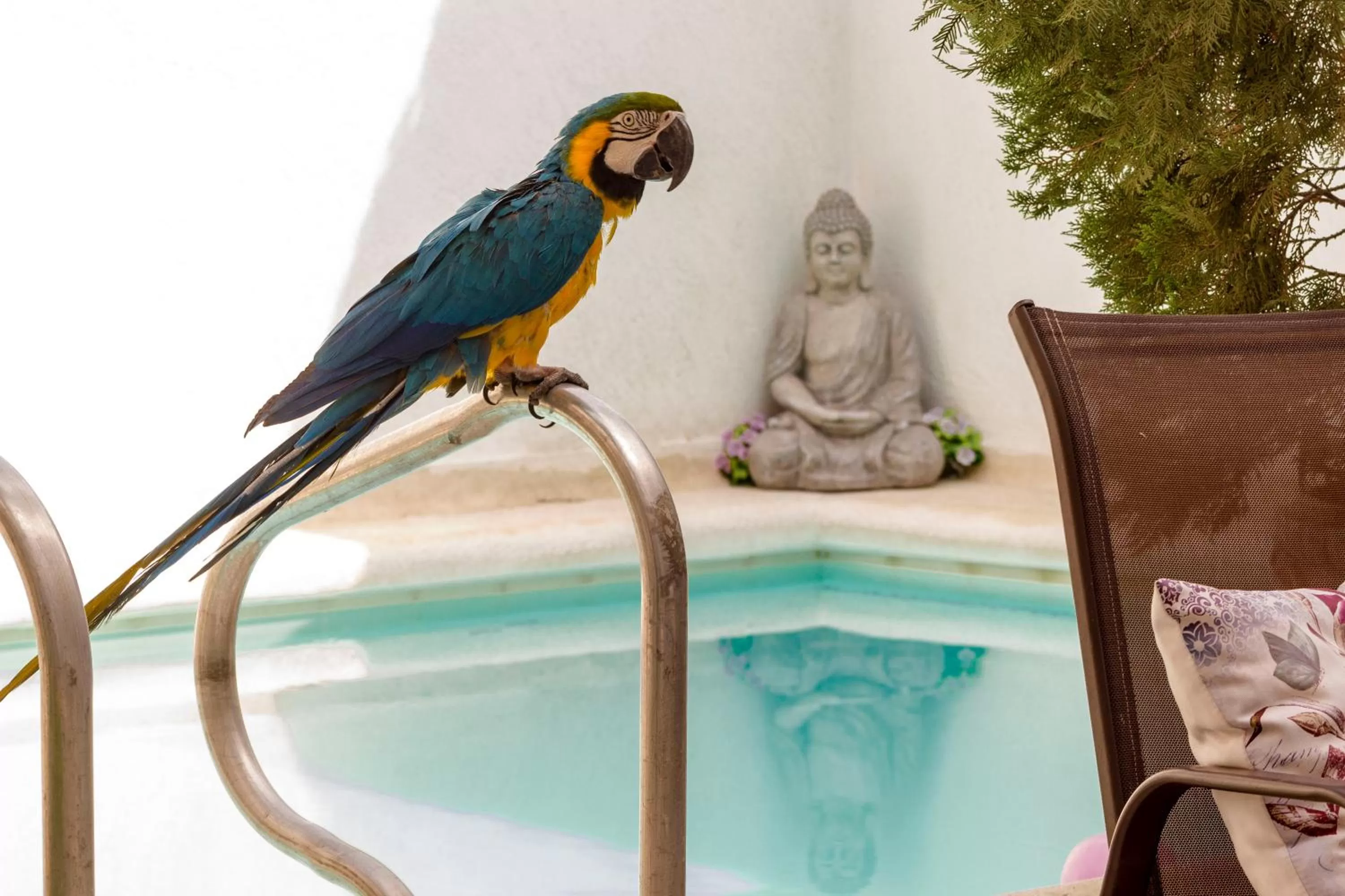 Property building in Maria's House - Boutique Hotel