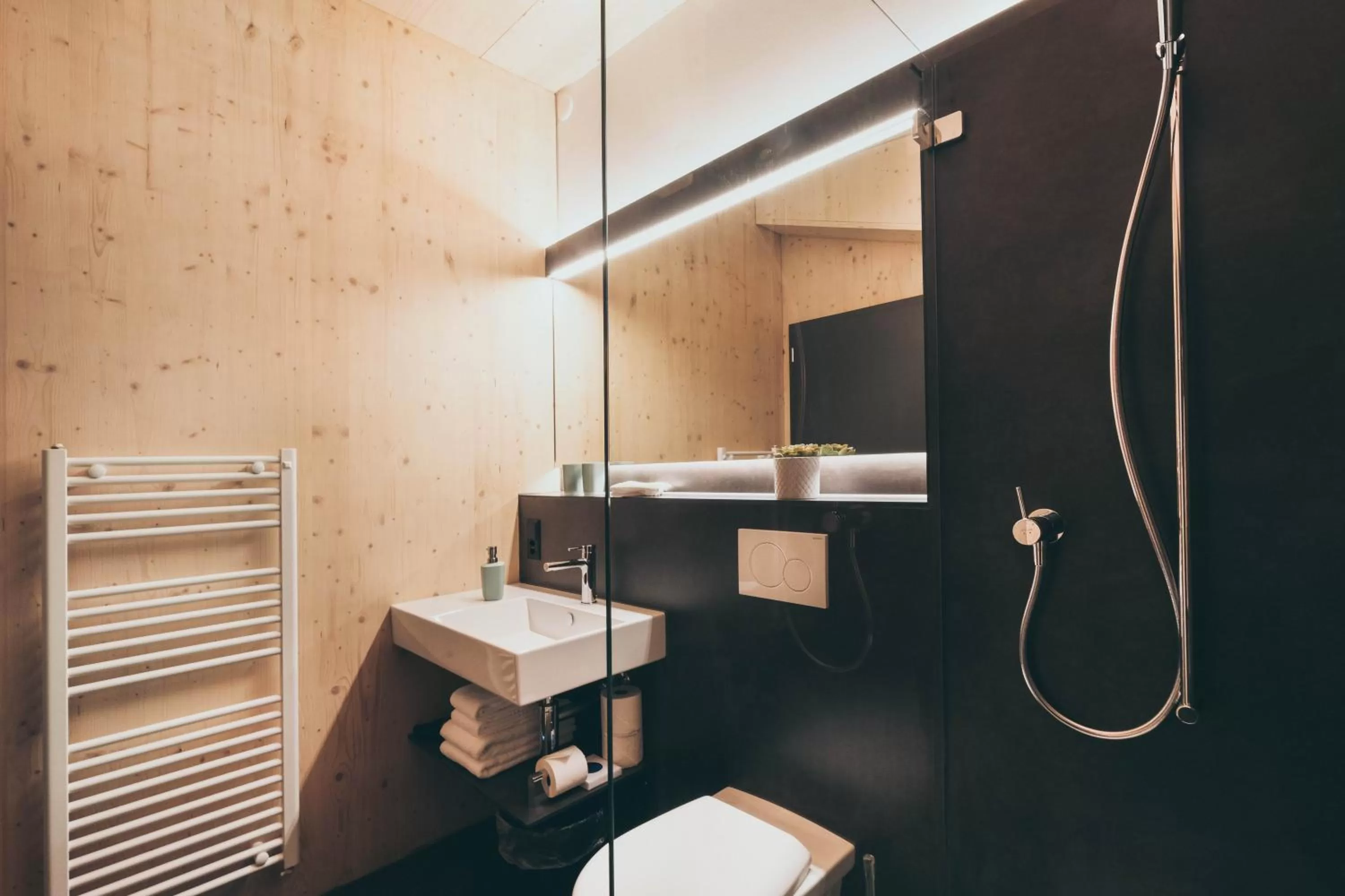 Bathroom in Frutigresort