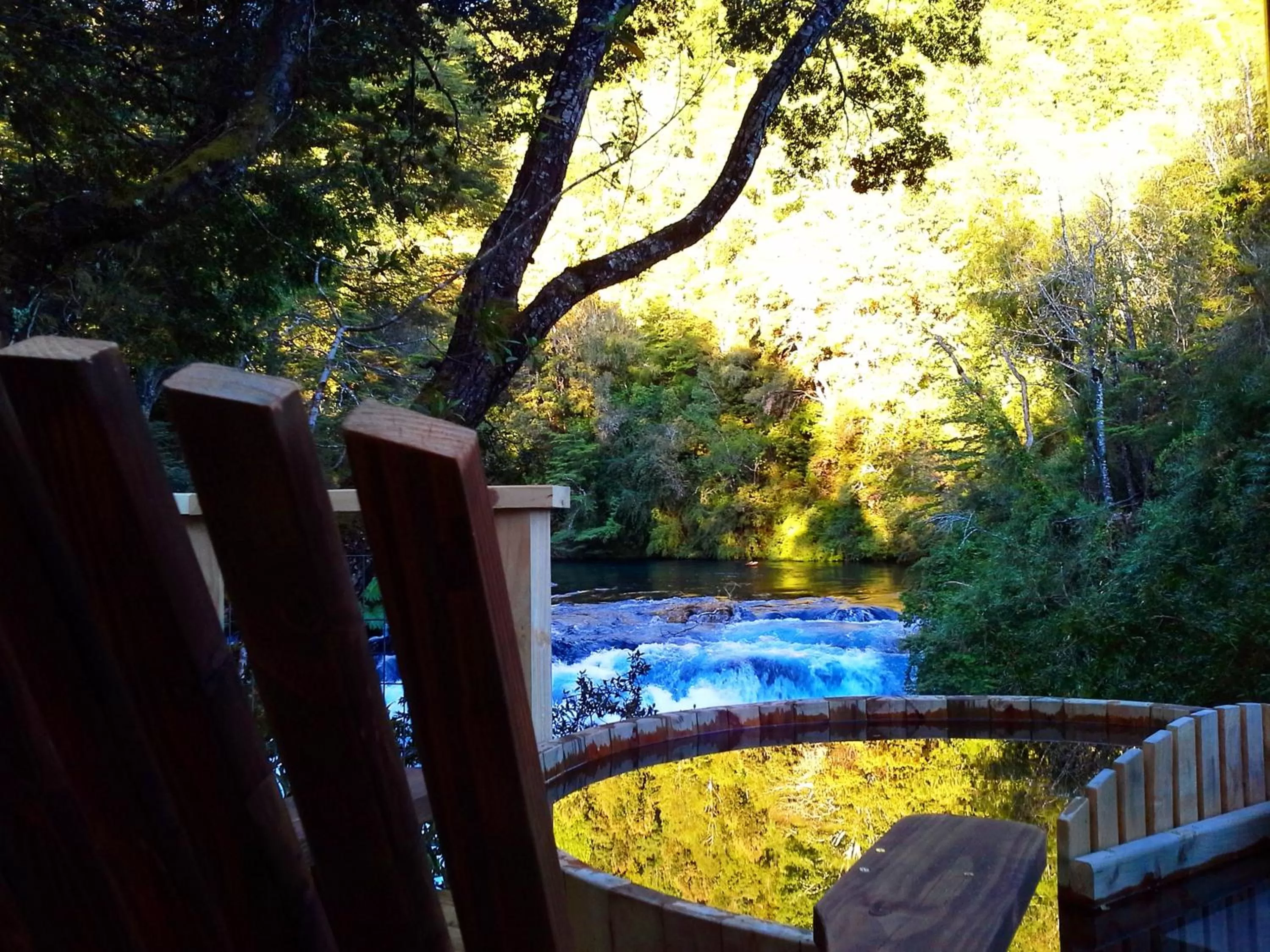 View (from property/room), Swimming Pool in Hotel Salto del Carileufu