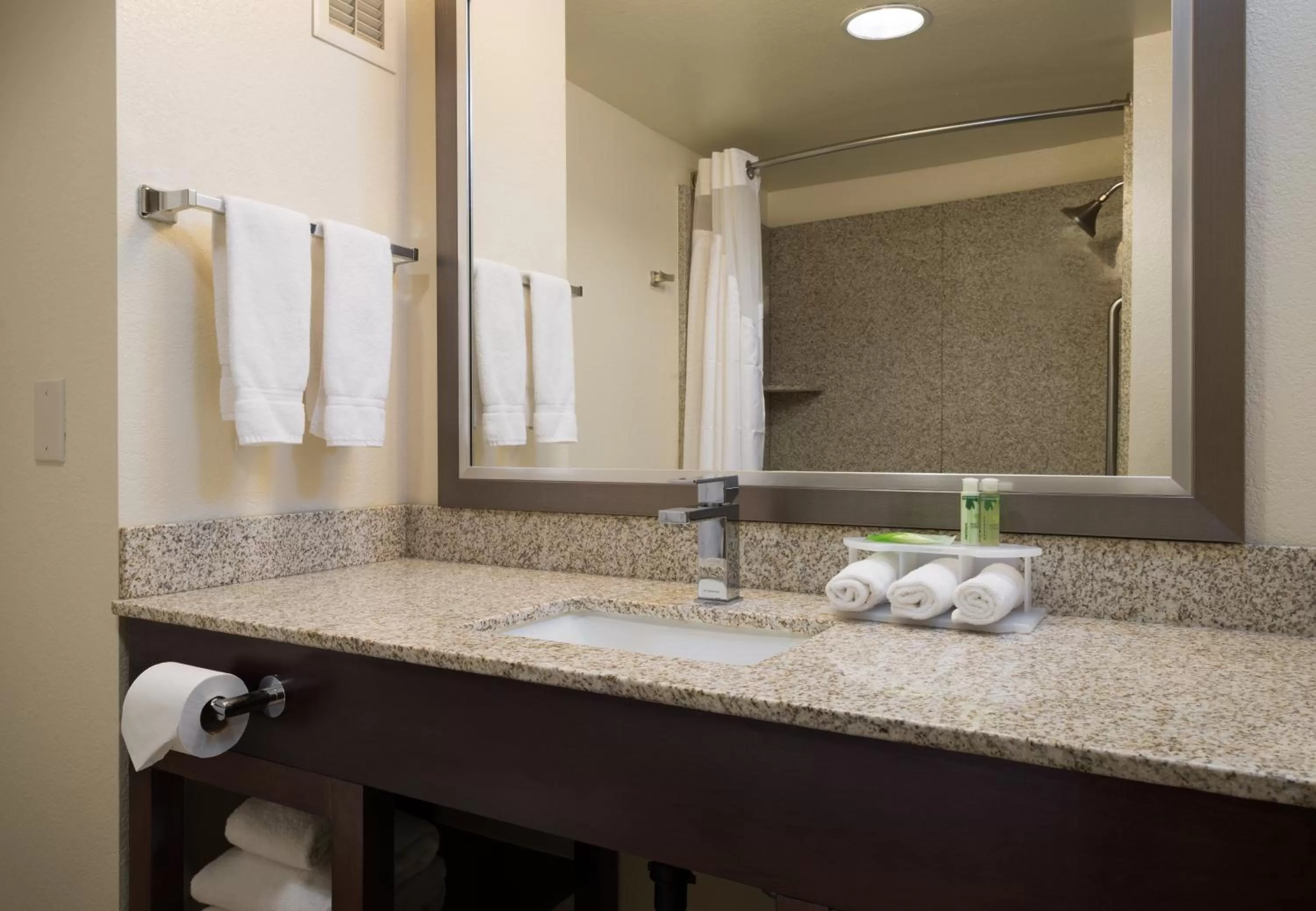 Bathroom in Holiday Inn Express Rocklin - Galleria Area by IHG