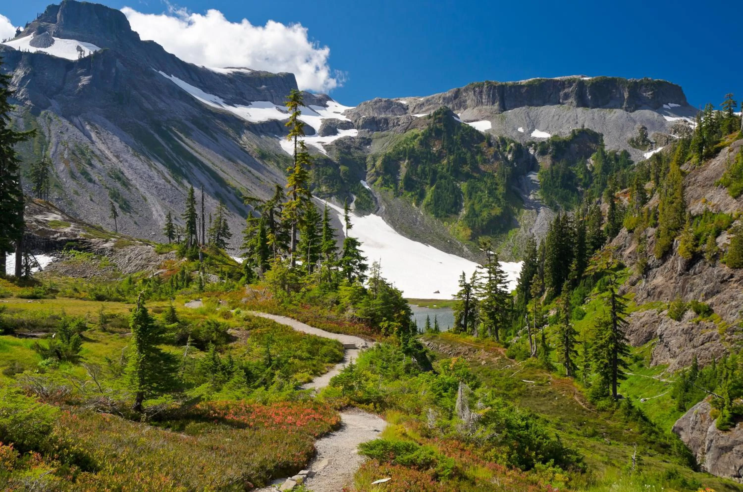 Natural landscape in Raintree's Sandcastle, Birch Bay