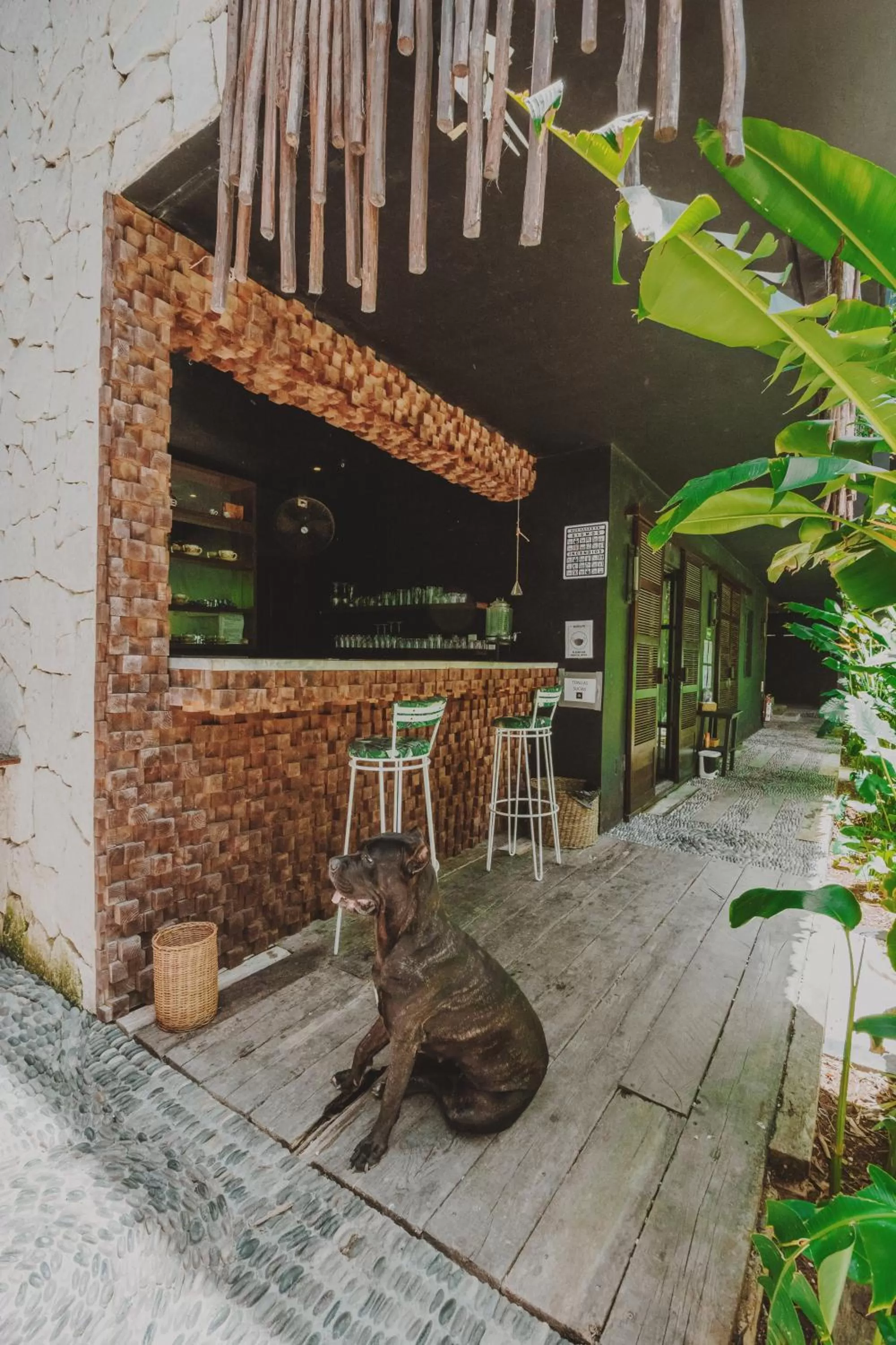 Patio in Maka Hotel Boutique