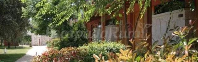 Garden in Hotel Sara De Ur