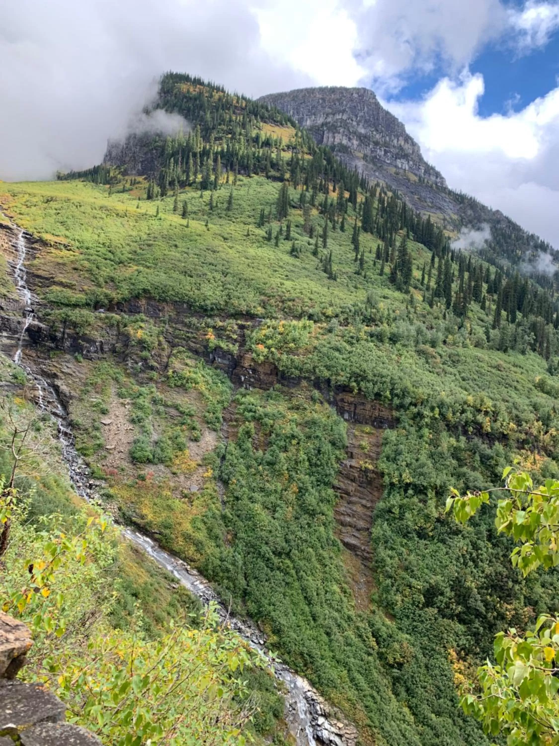 Natural landscape in Glacier Haven Inn