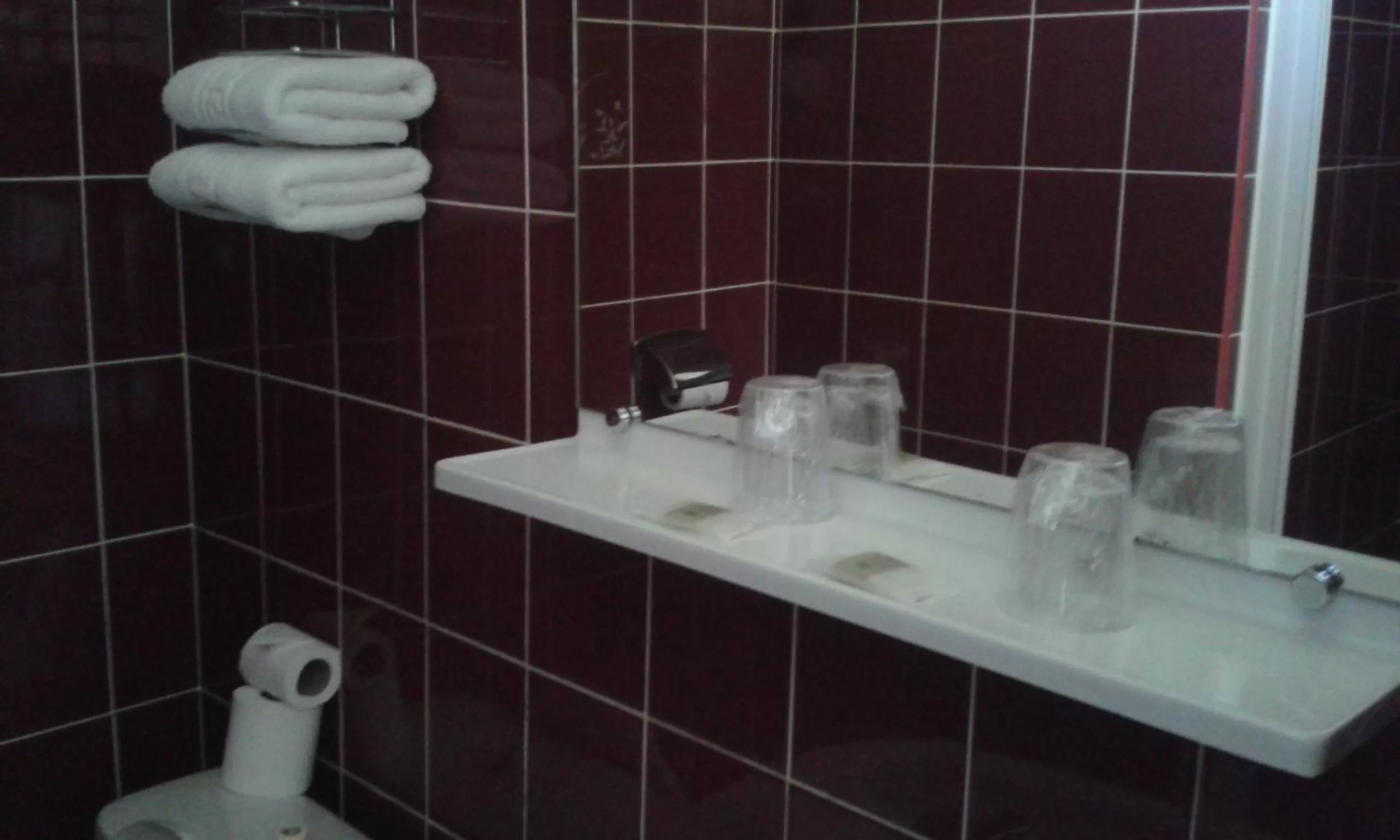 Bathroom in Hôtel Restaurant Le Pavillon