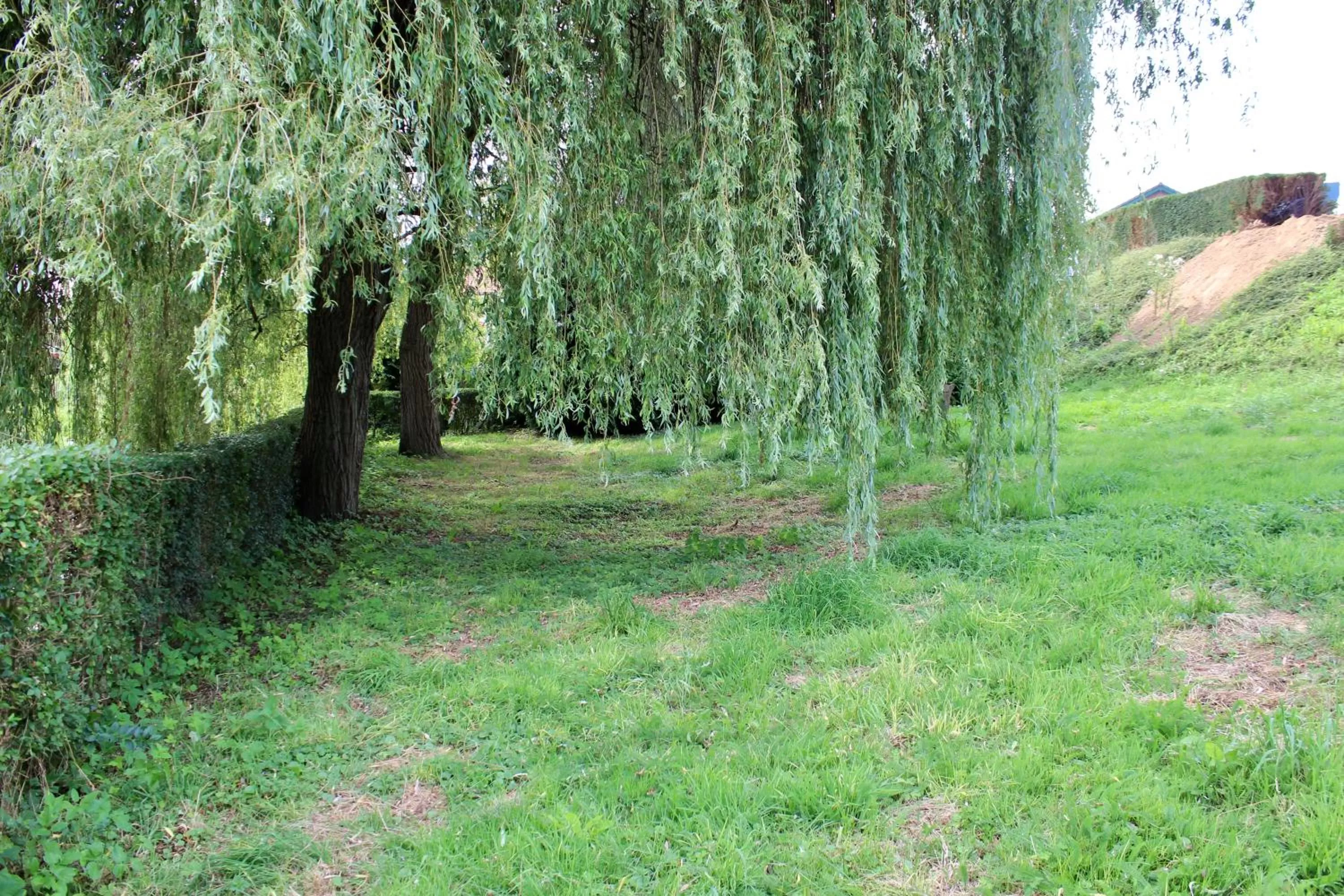 Garden in Hotel Salden