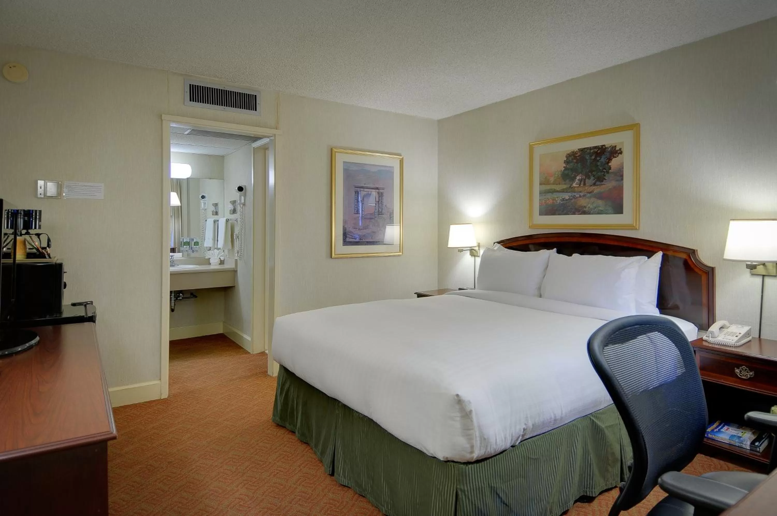 King Room - Disability Access in Vagabond Inn Executive SFO