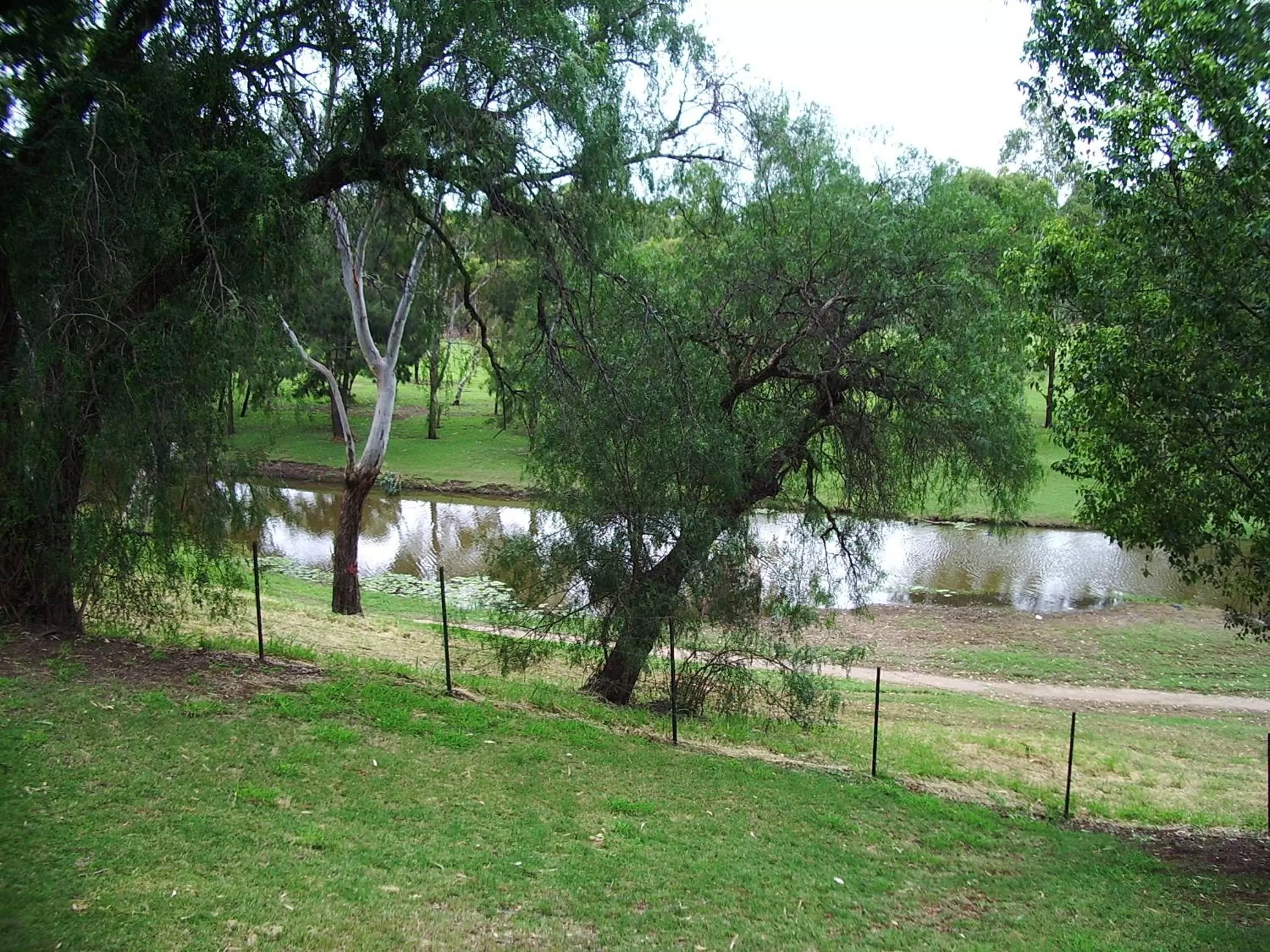 Area and facilities in Park House Motor Inn