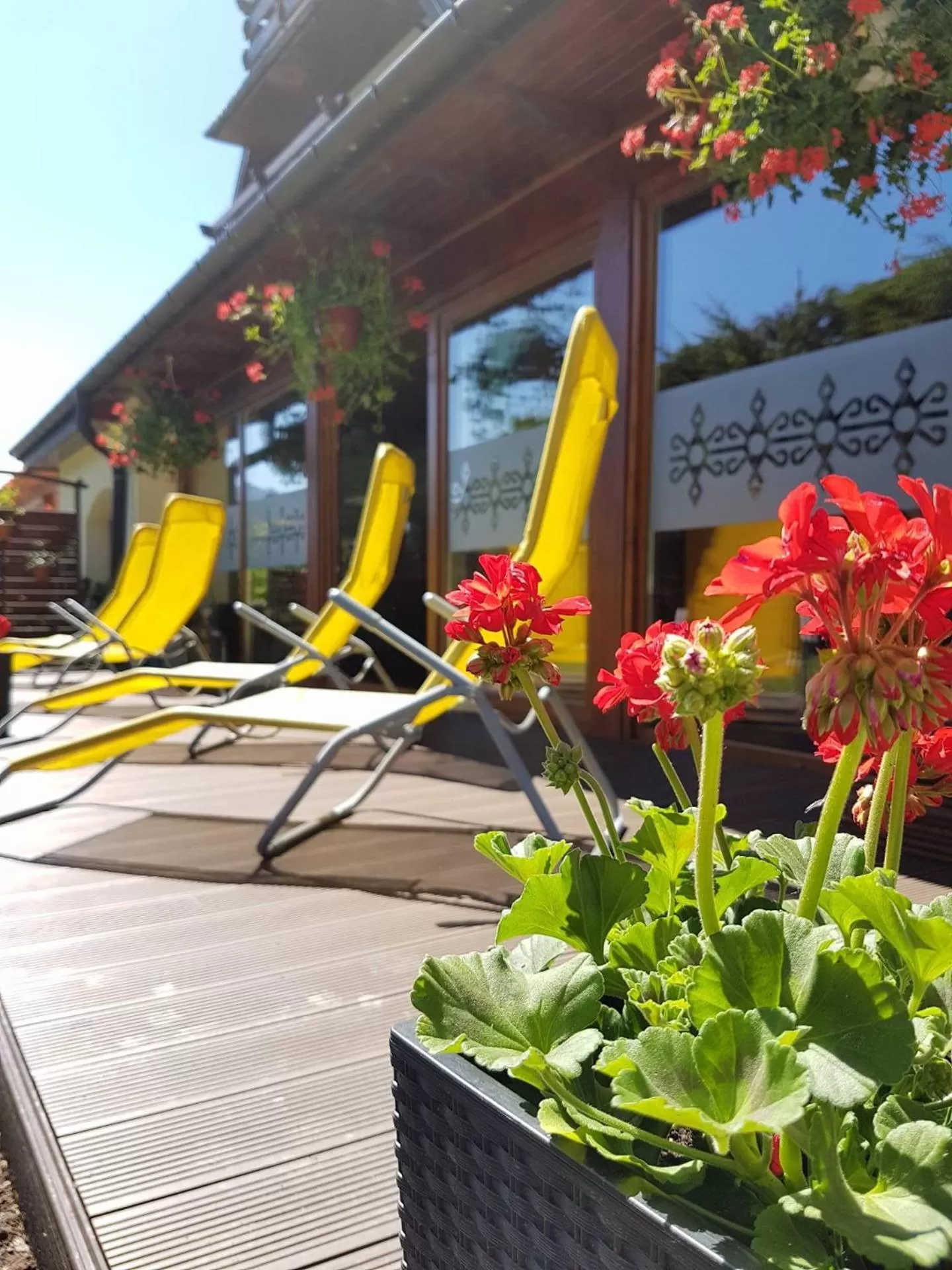 Garden in Willa Baciarka