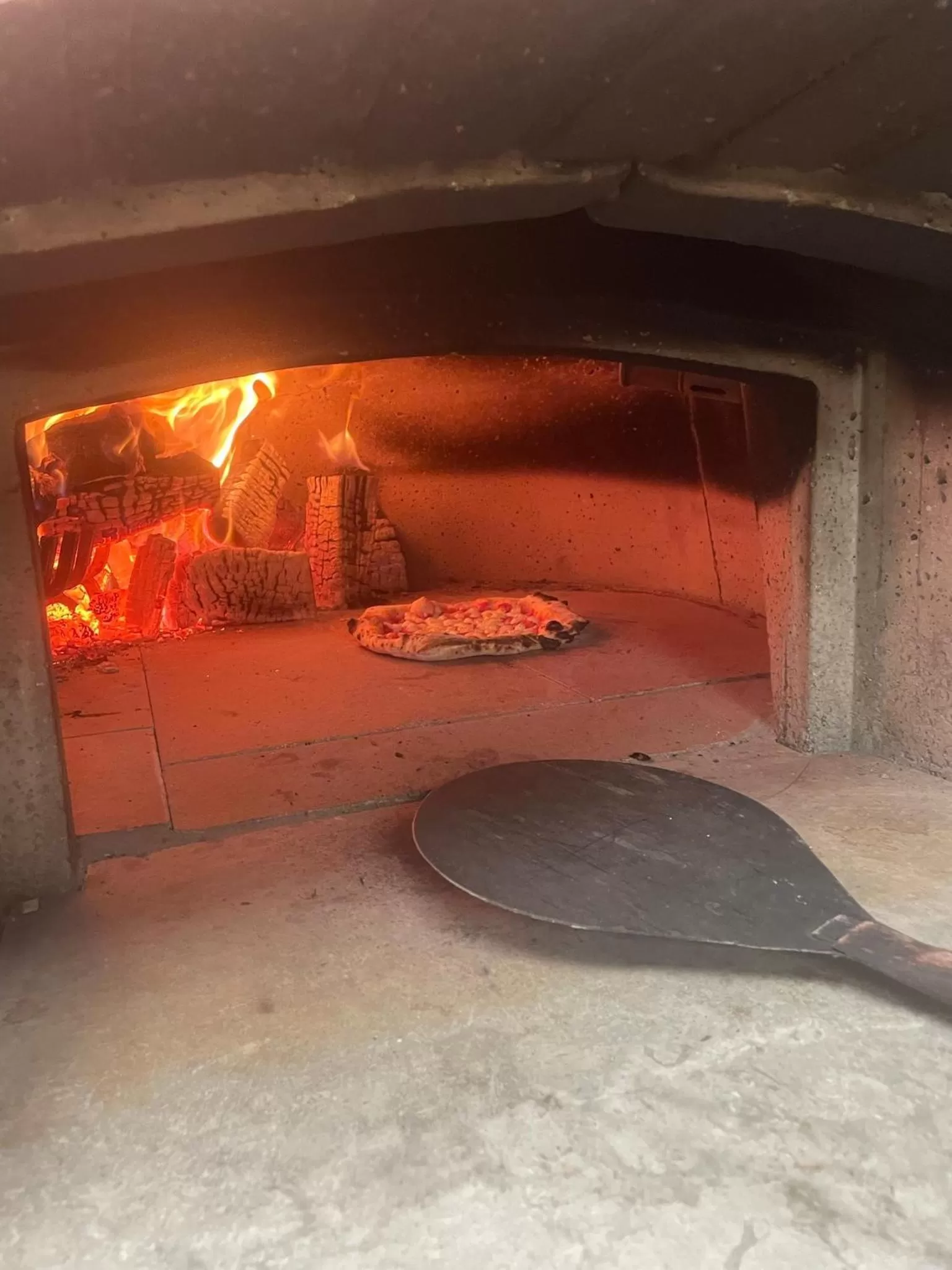 Restaurant/places to eat in La Fattoria