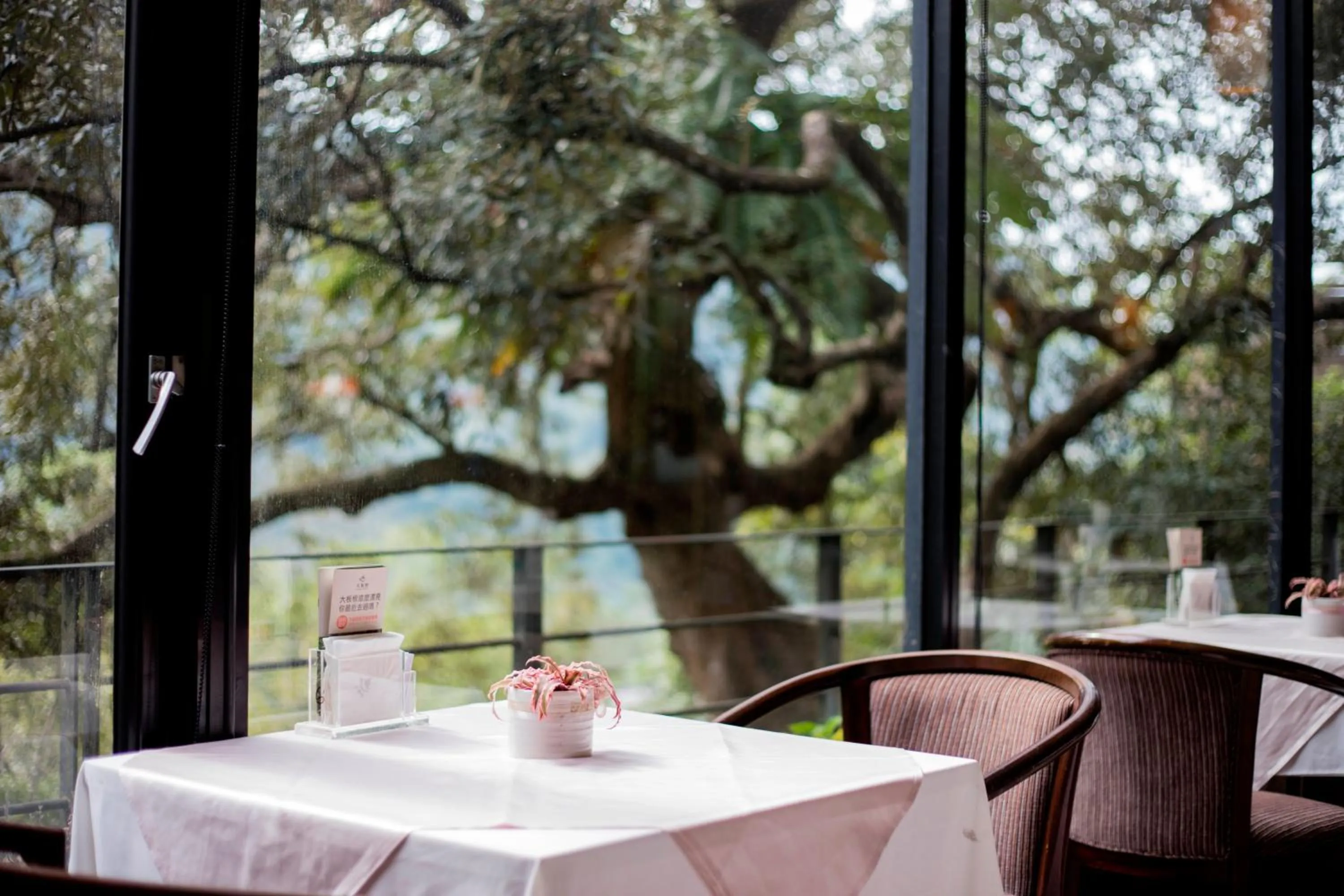 Restaurant/places to eat in Great Roots Forestry Spa Resort