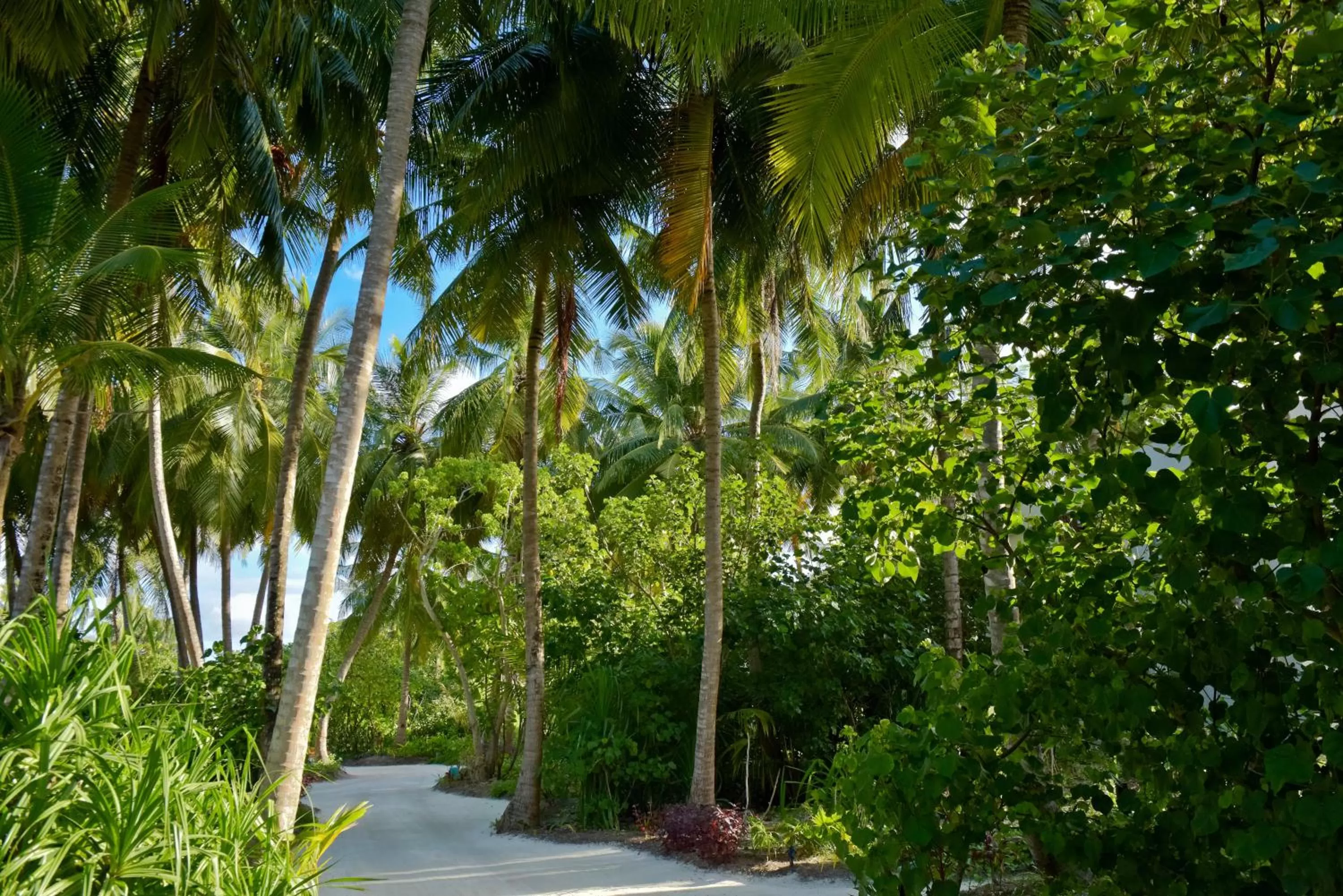 Garden in Kandima Maldives - 50 Percent Off Return Domestic Flights for stays of 4 nights or more between 11th April 2026 to 31st October 2026
