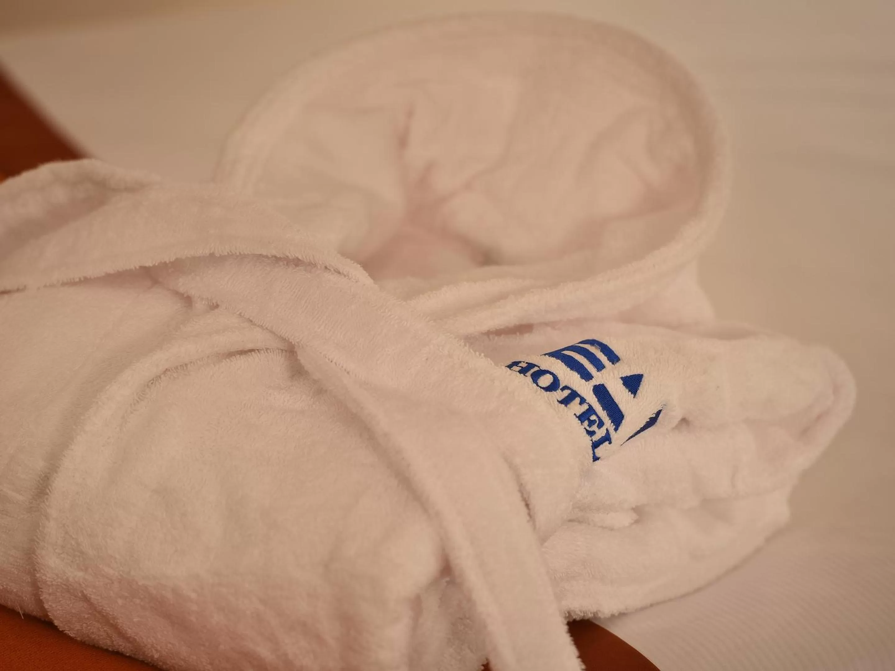 Other in Ramada Airport Hotel Prague