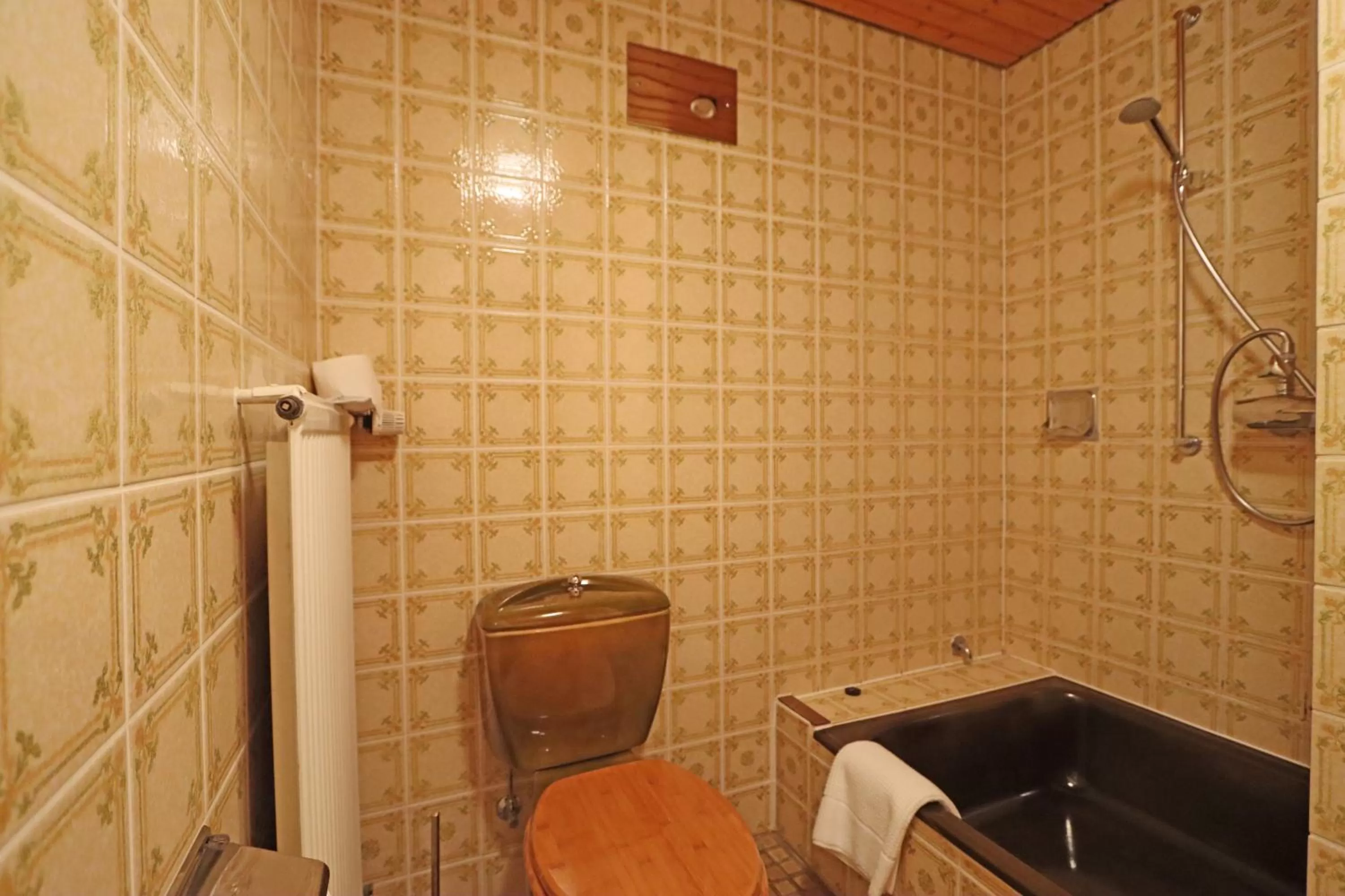 Shower in Hotel Kreuz Höhengasthof