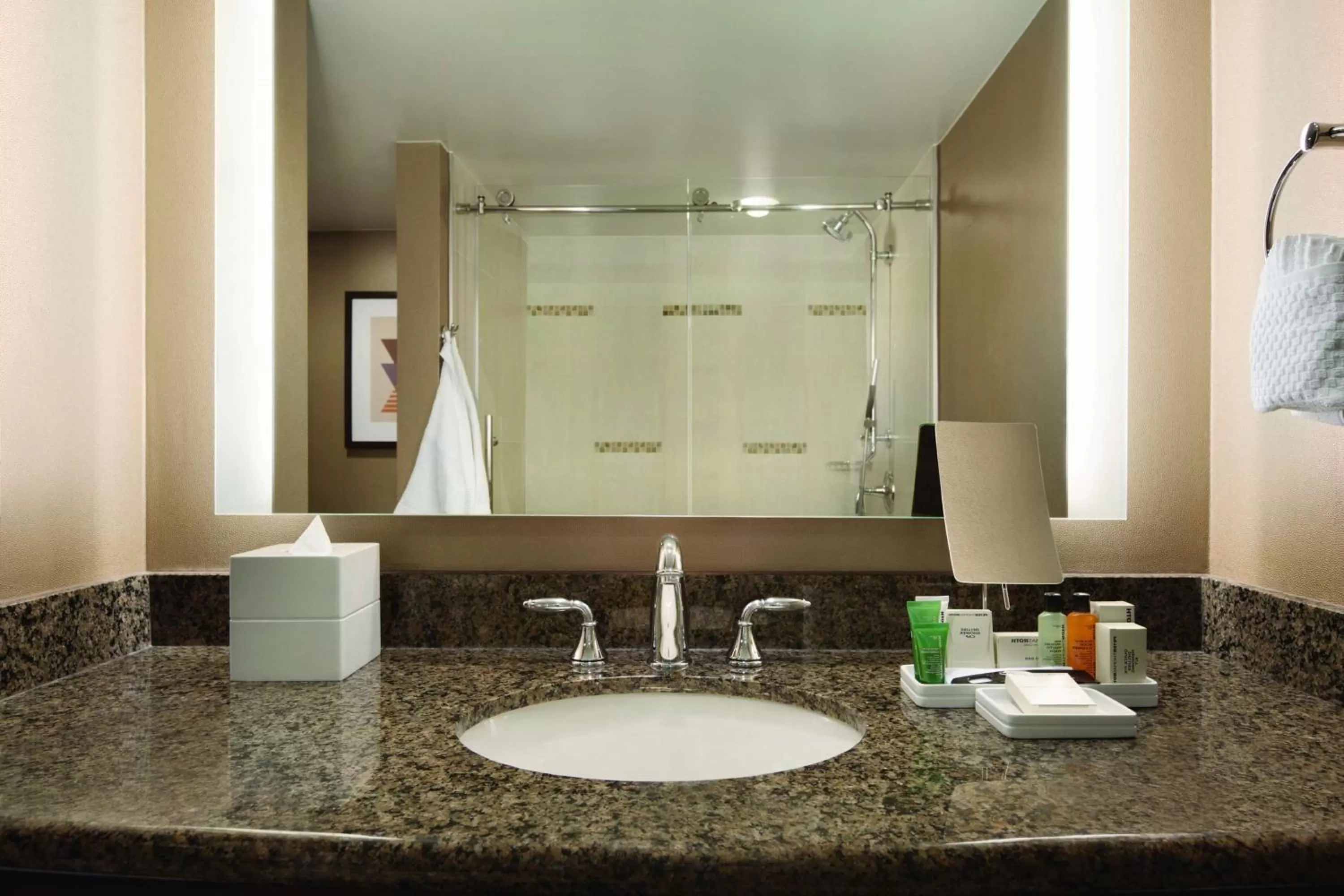 Bathroom in Hilton Arlington