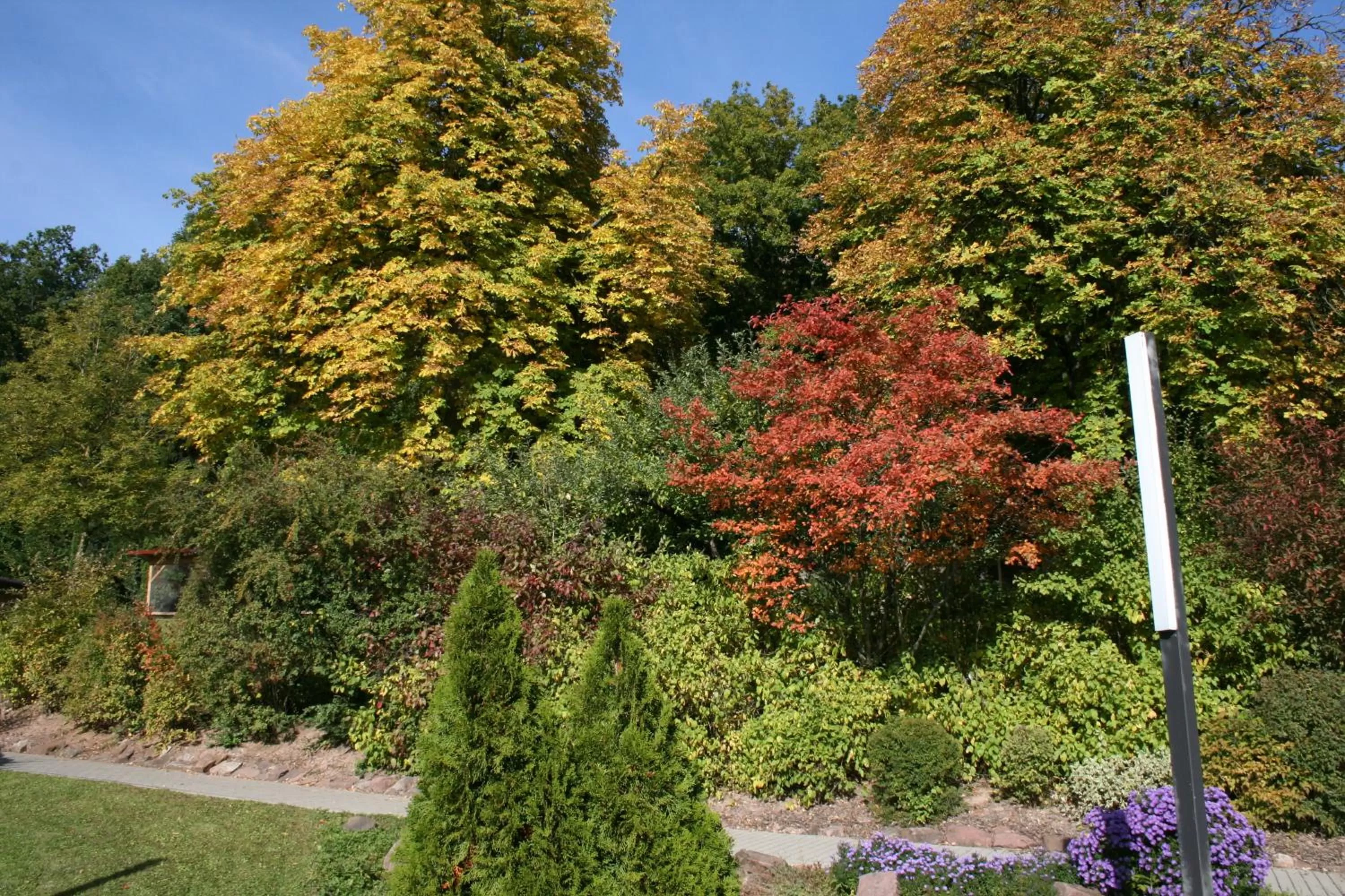 Garden in Seniorenresidenz Parkwohnstift Bad Kissingen